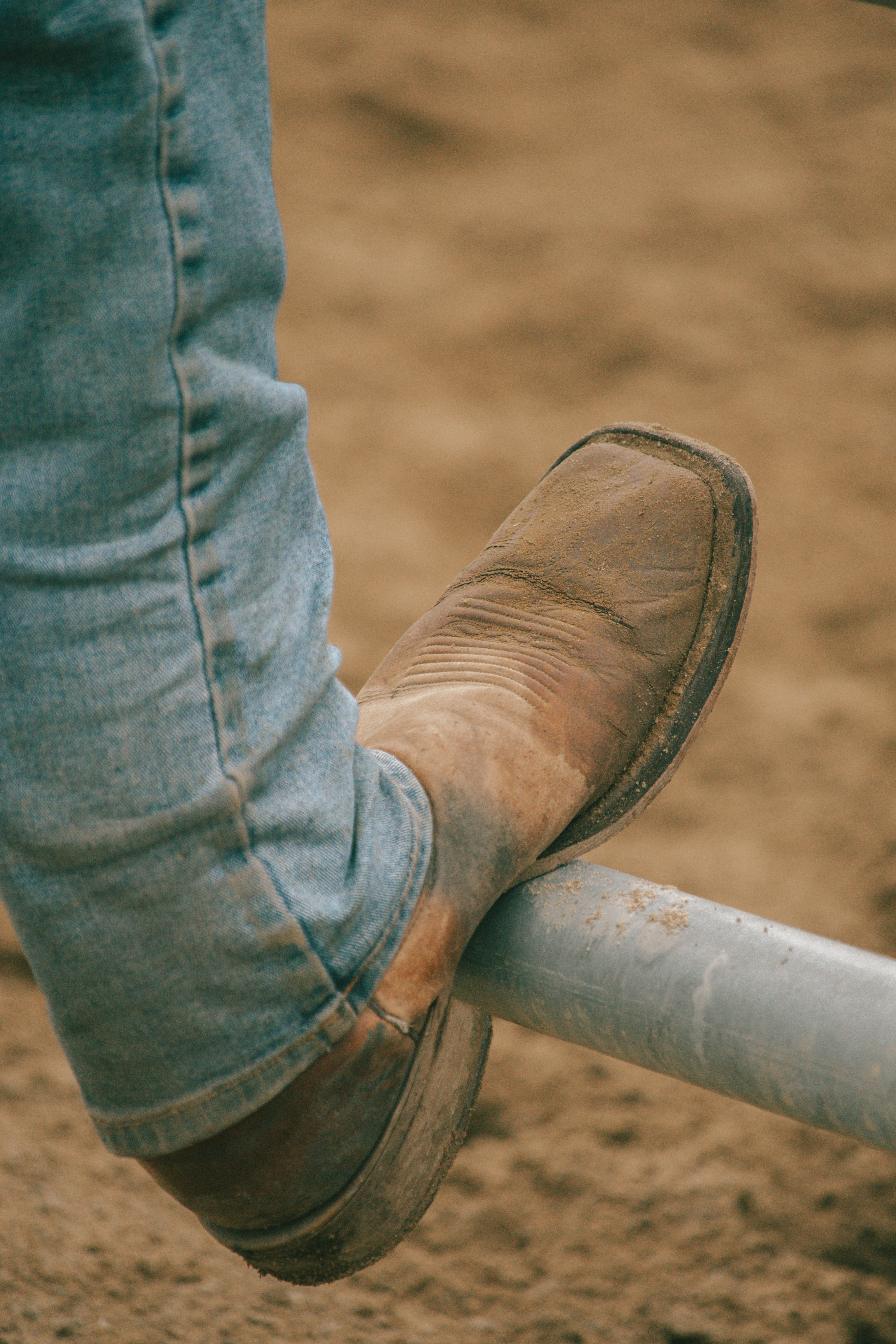 Photo by raymondpetrik