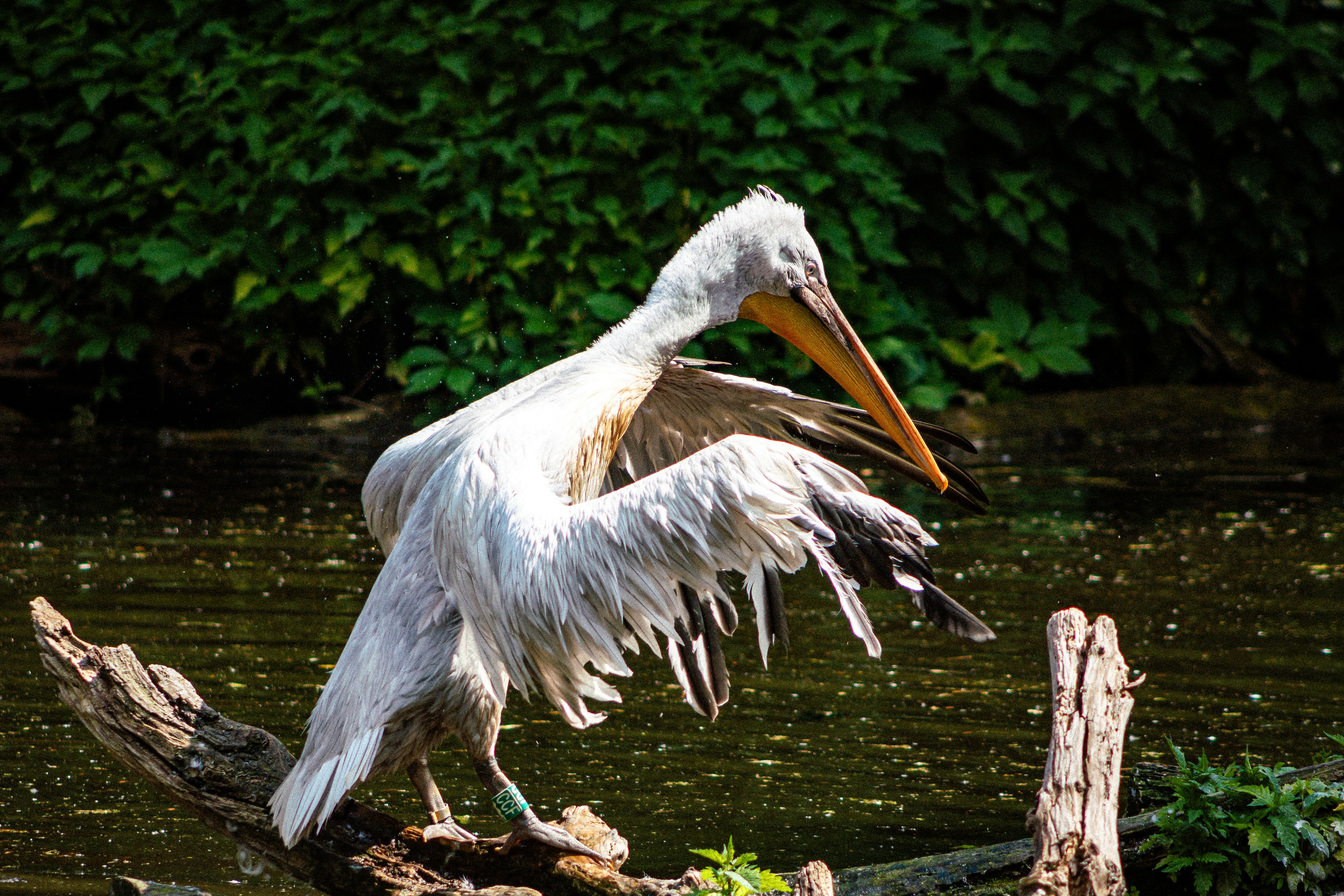 Photo by jerrografie