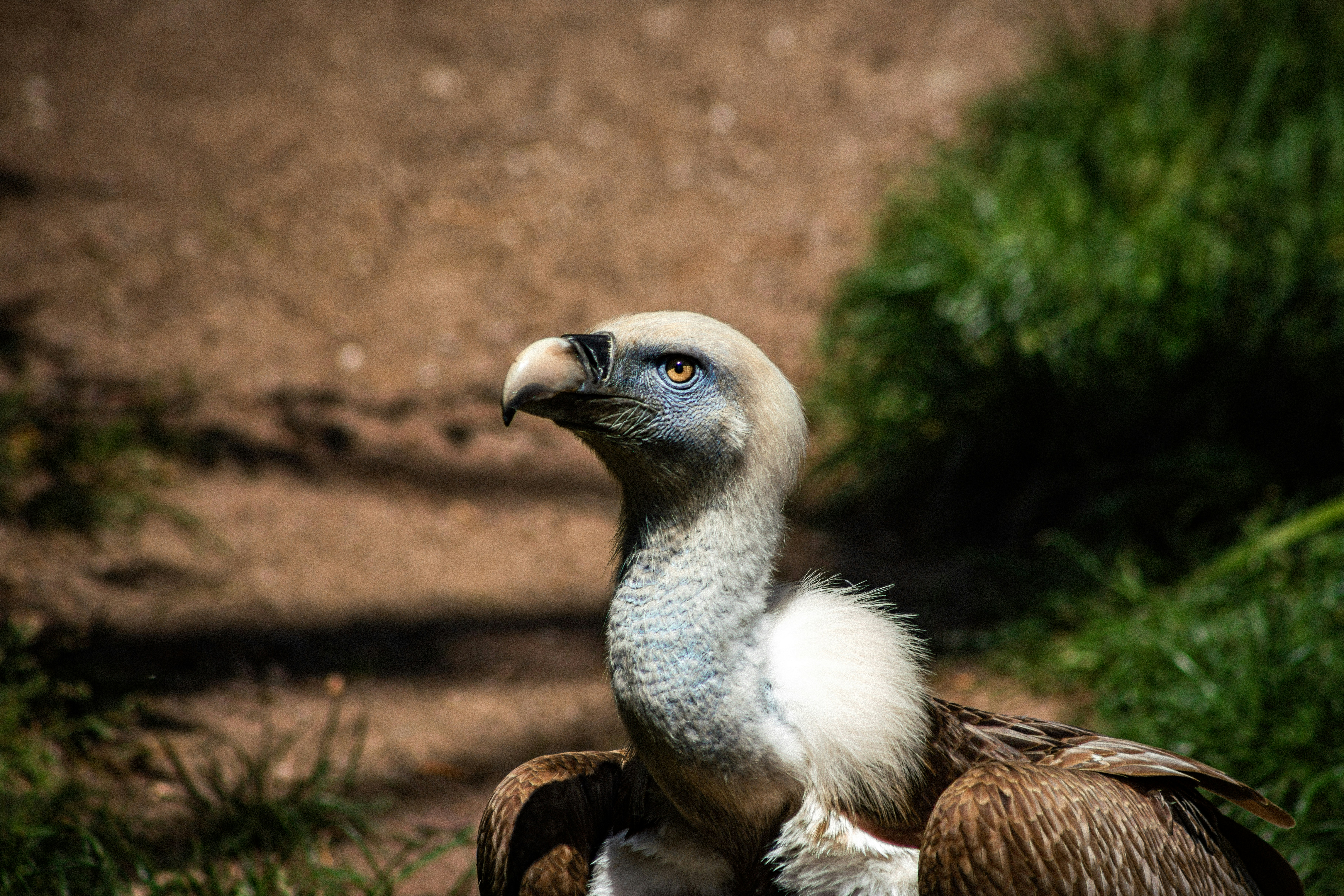 Photo by jerrografie