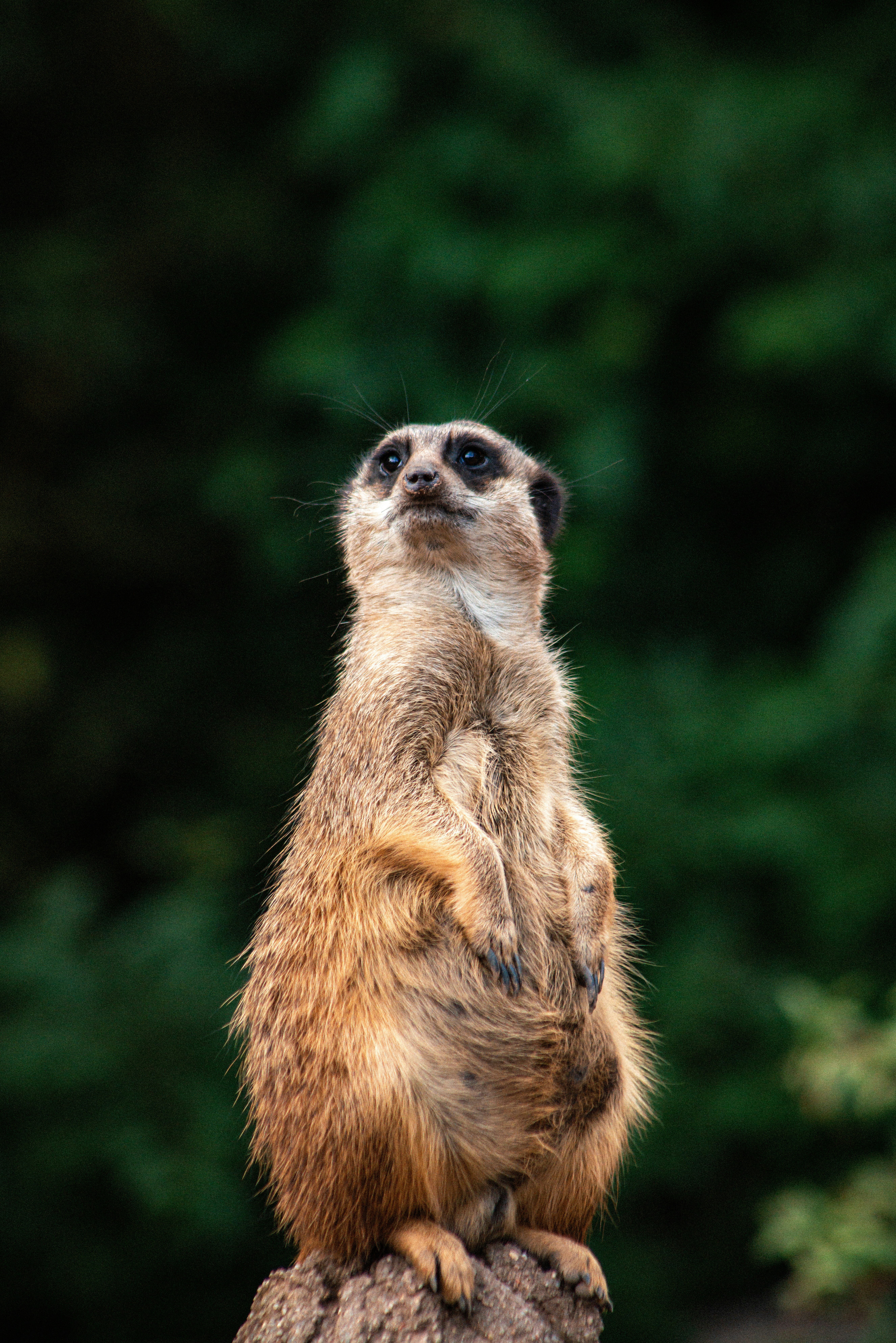 Photo by jerrografie