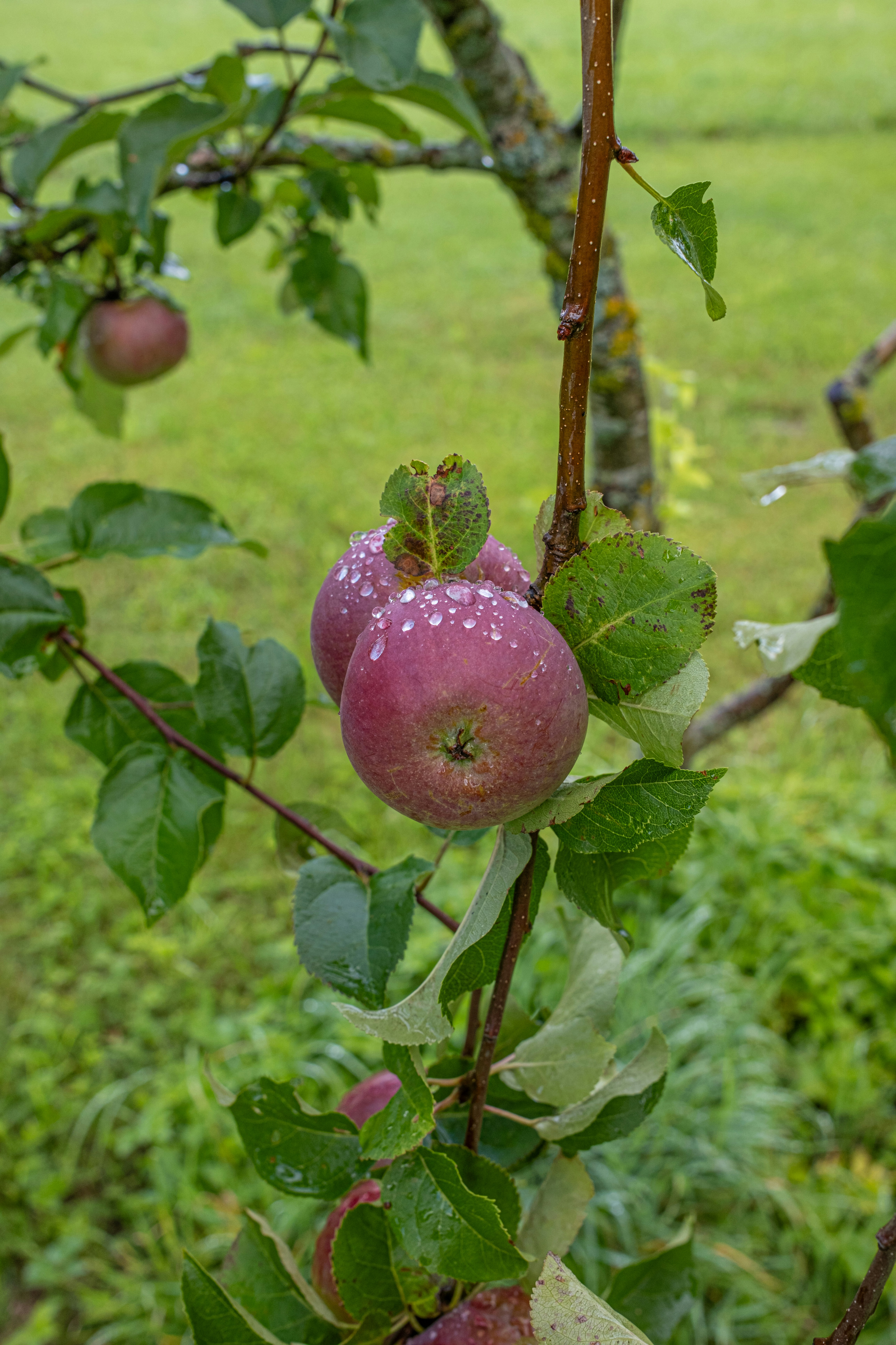 Photo by inga_images