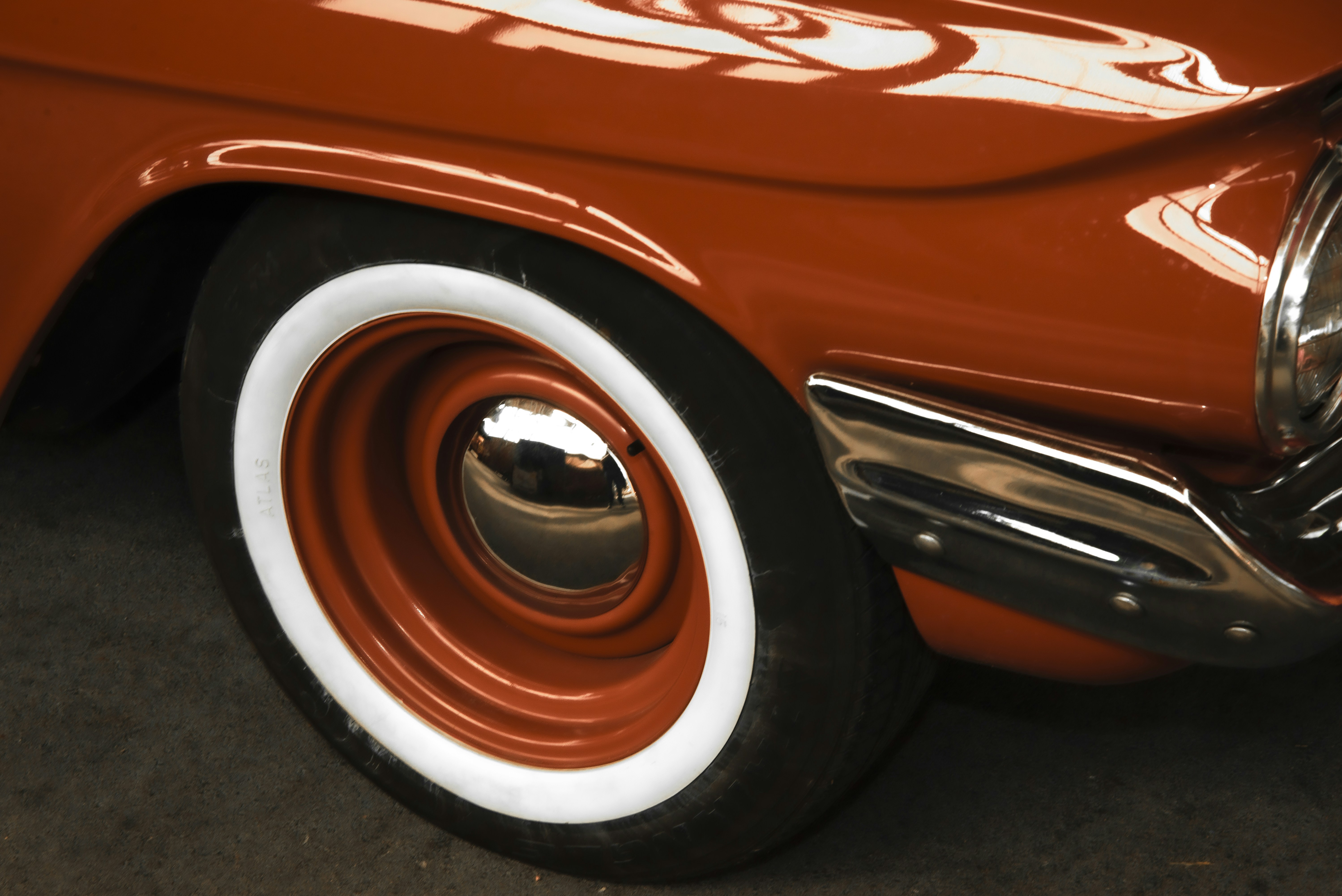 Photo by animaphotos