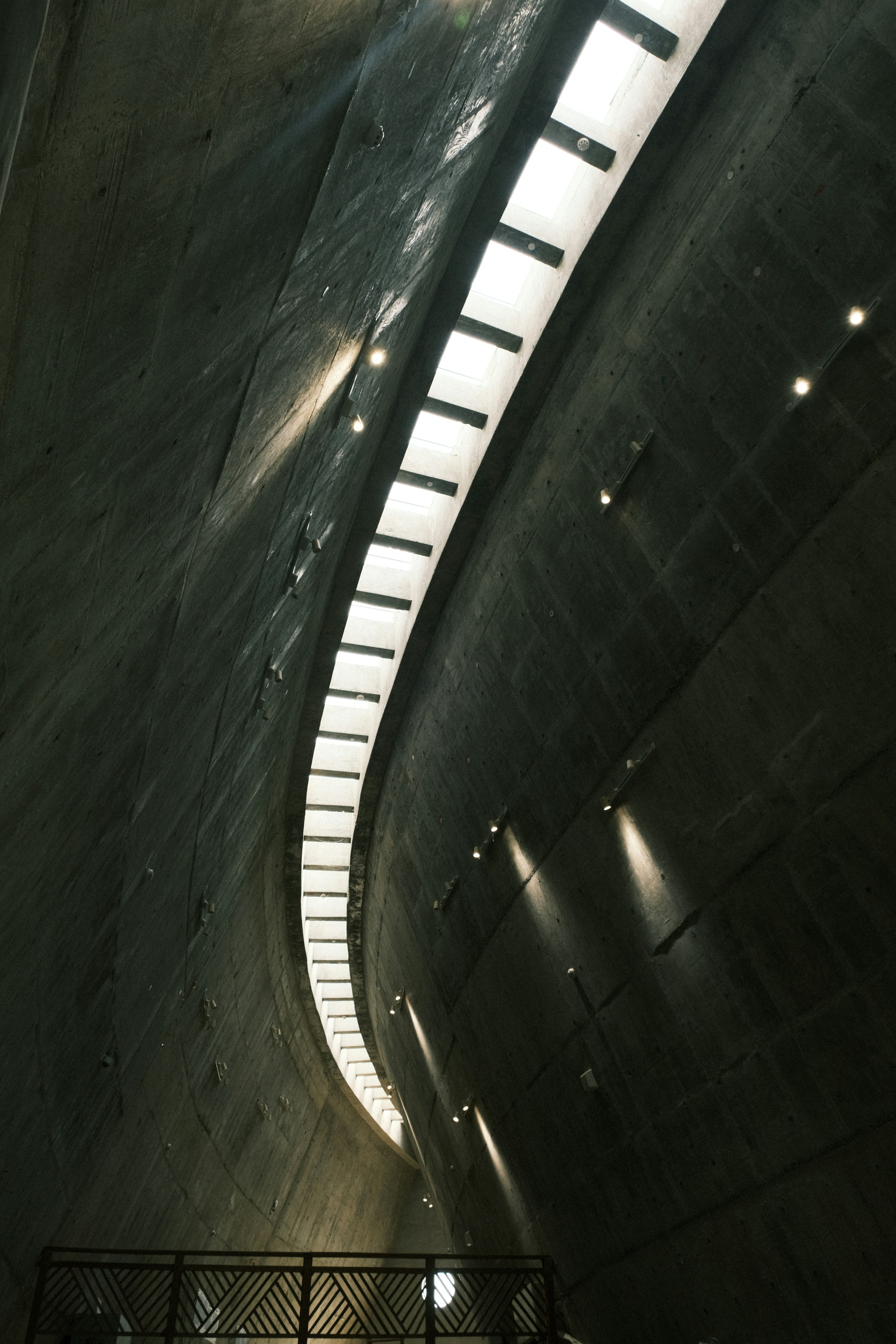 Photo by dvhoang2106