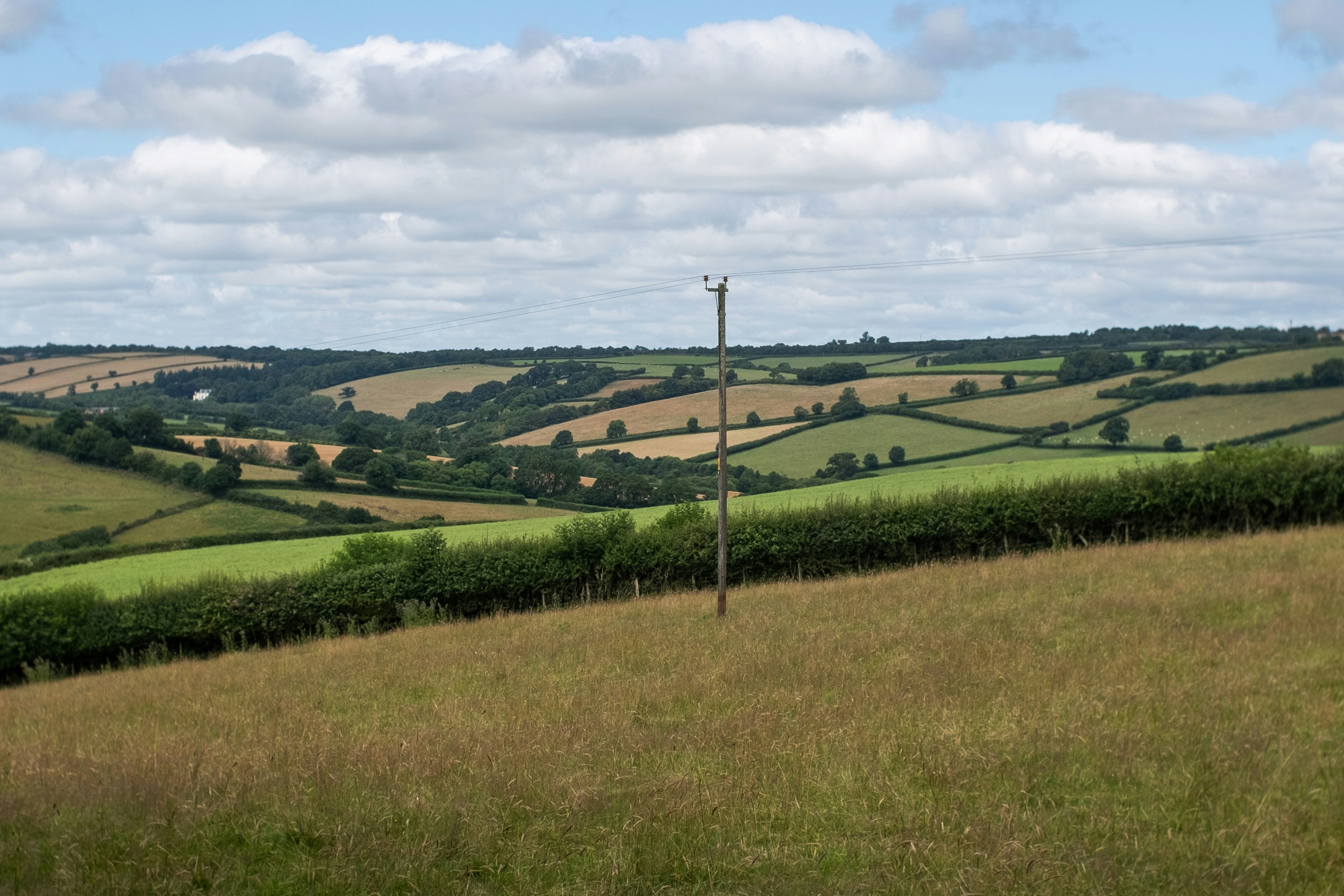 イギリスの田園風景