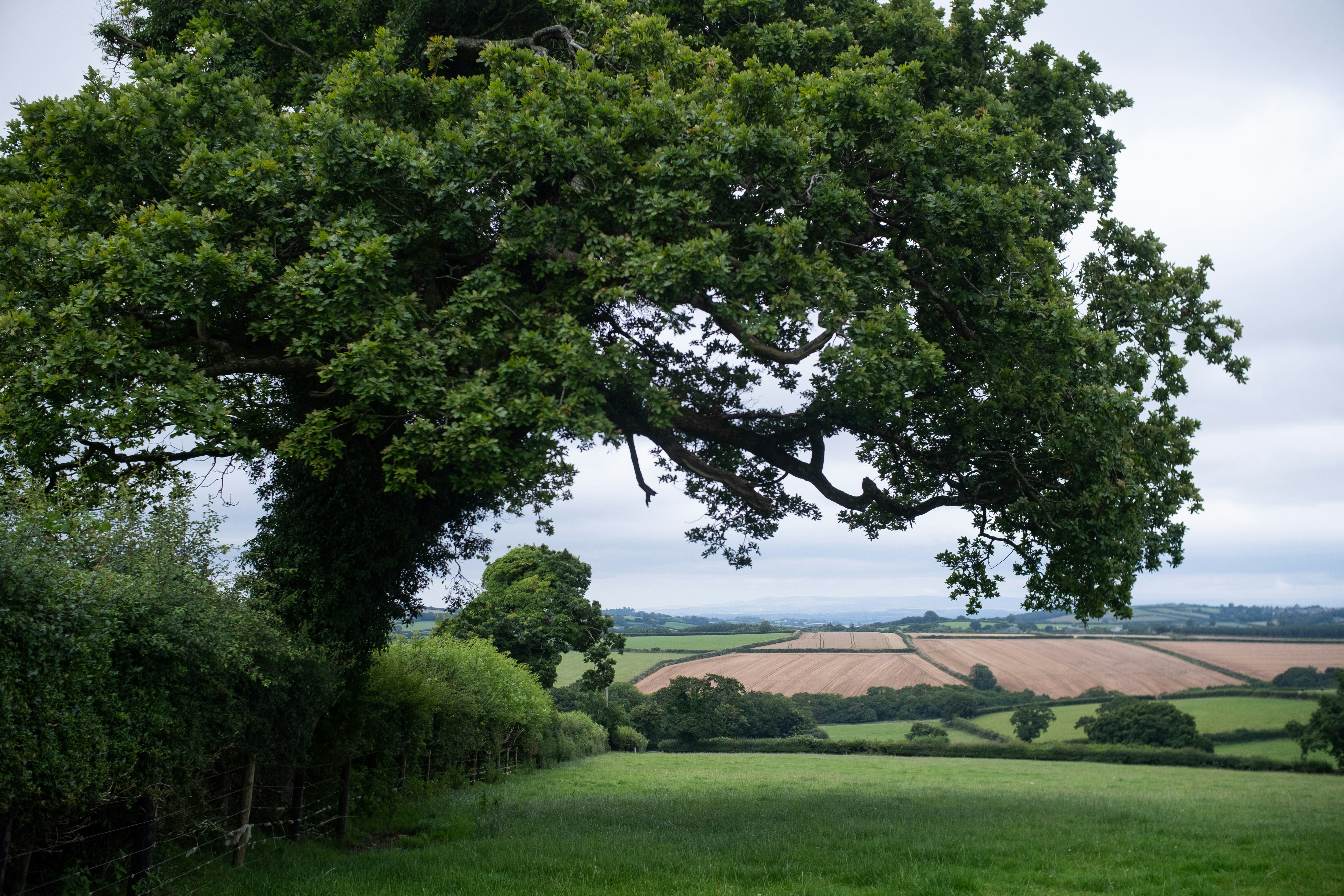 Photo by veronicaa_white