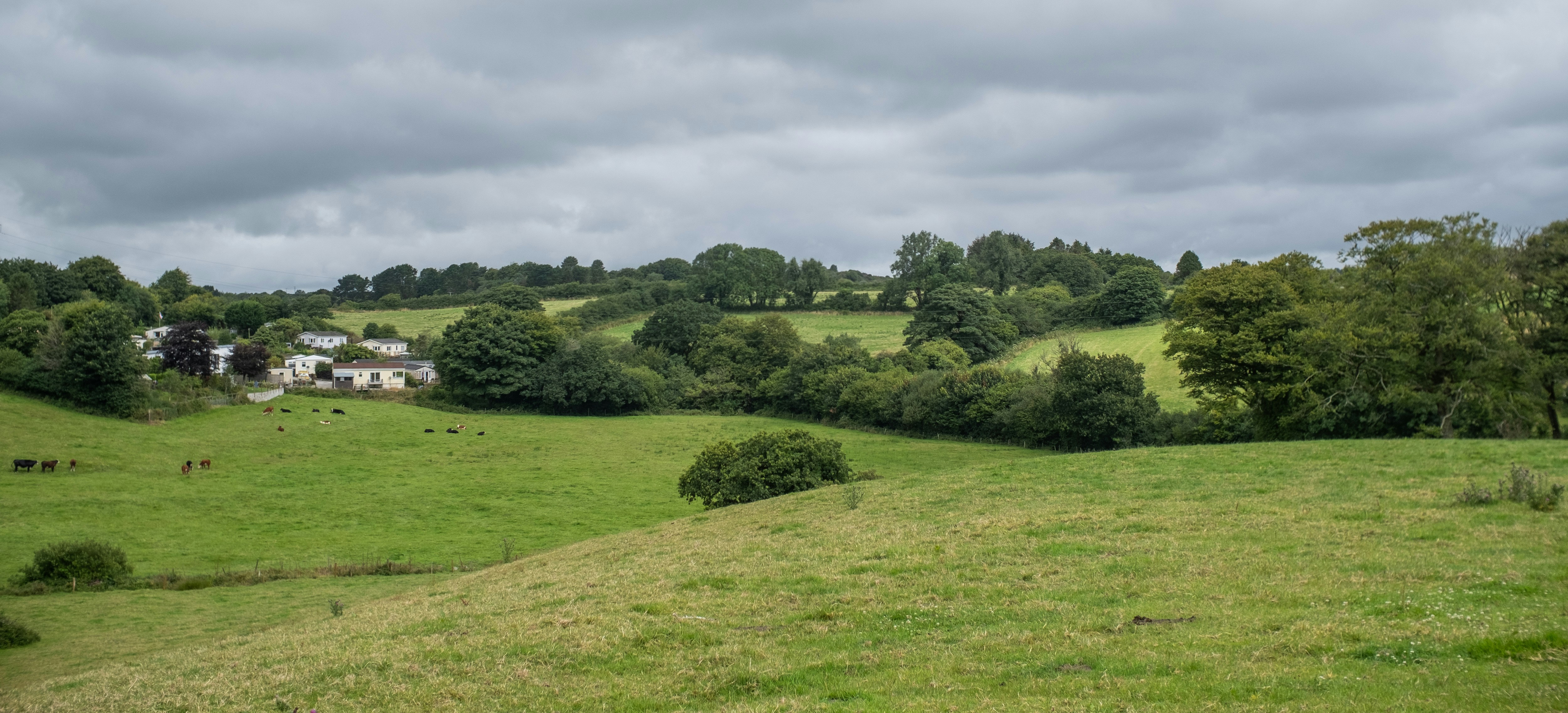 Briarcliffe Acres cityscape