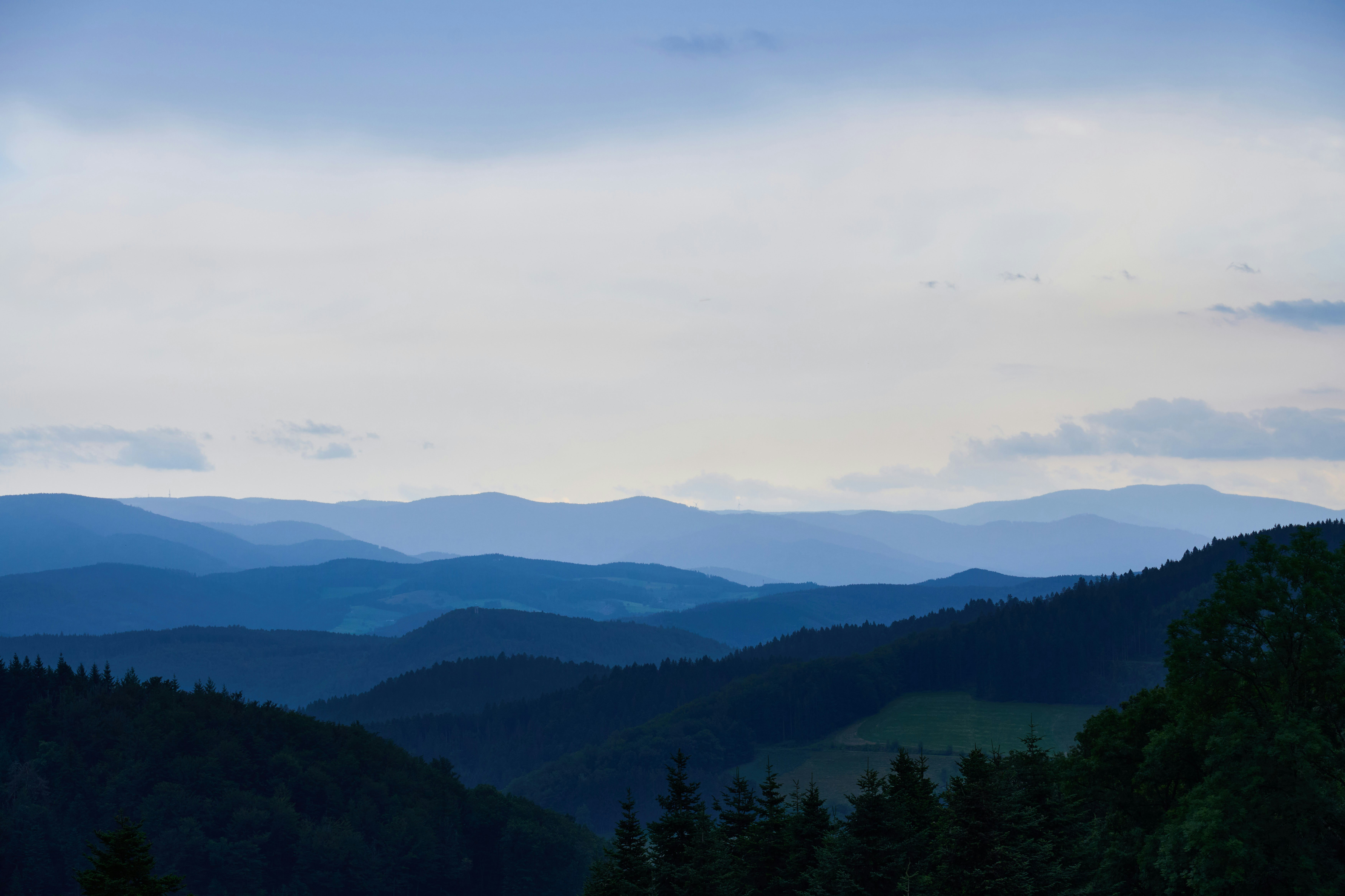 Photo by wolfgang_hasselmann