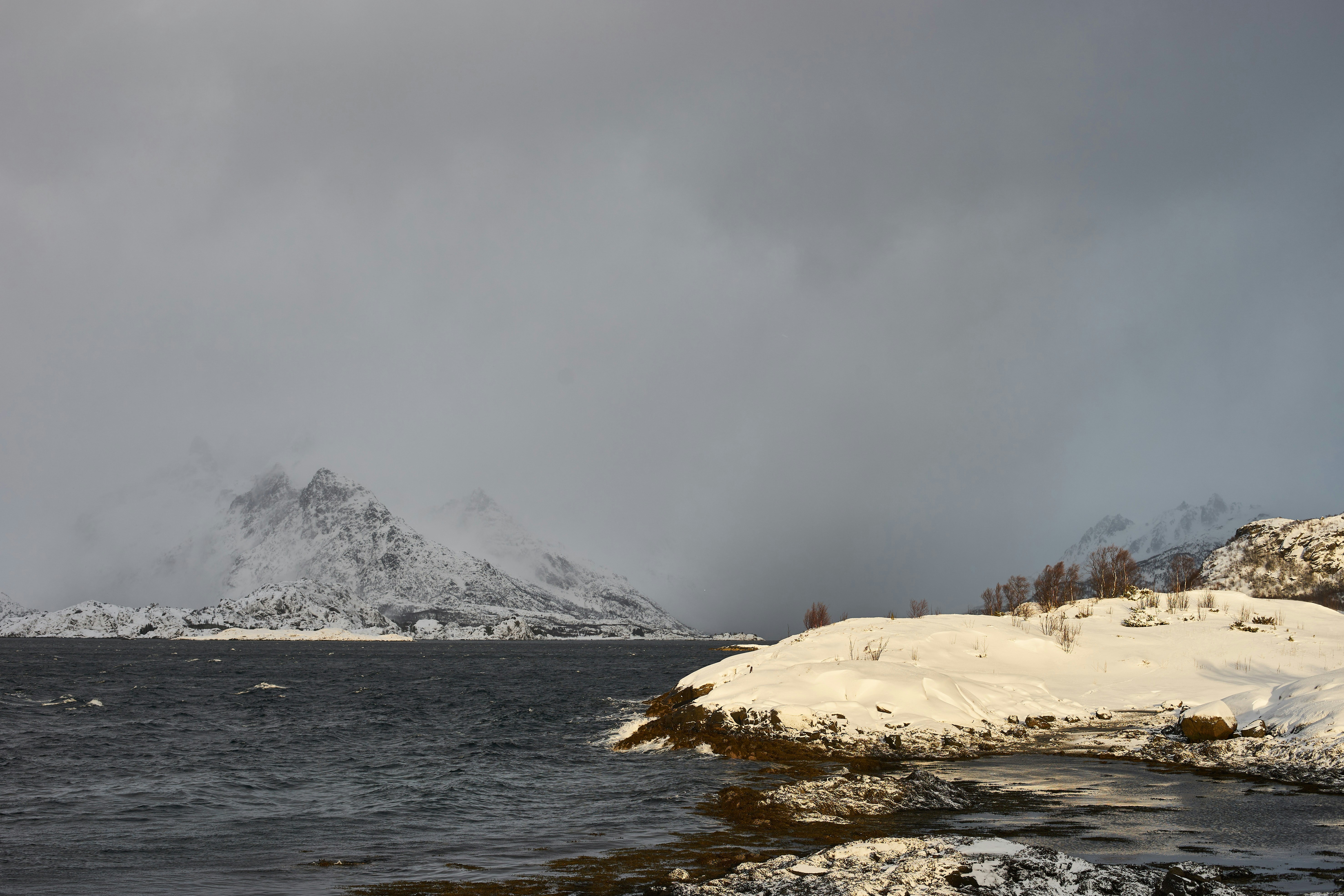 Photo by wolfgang_hasselmann