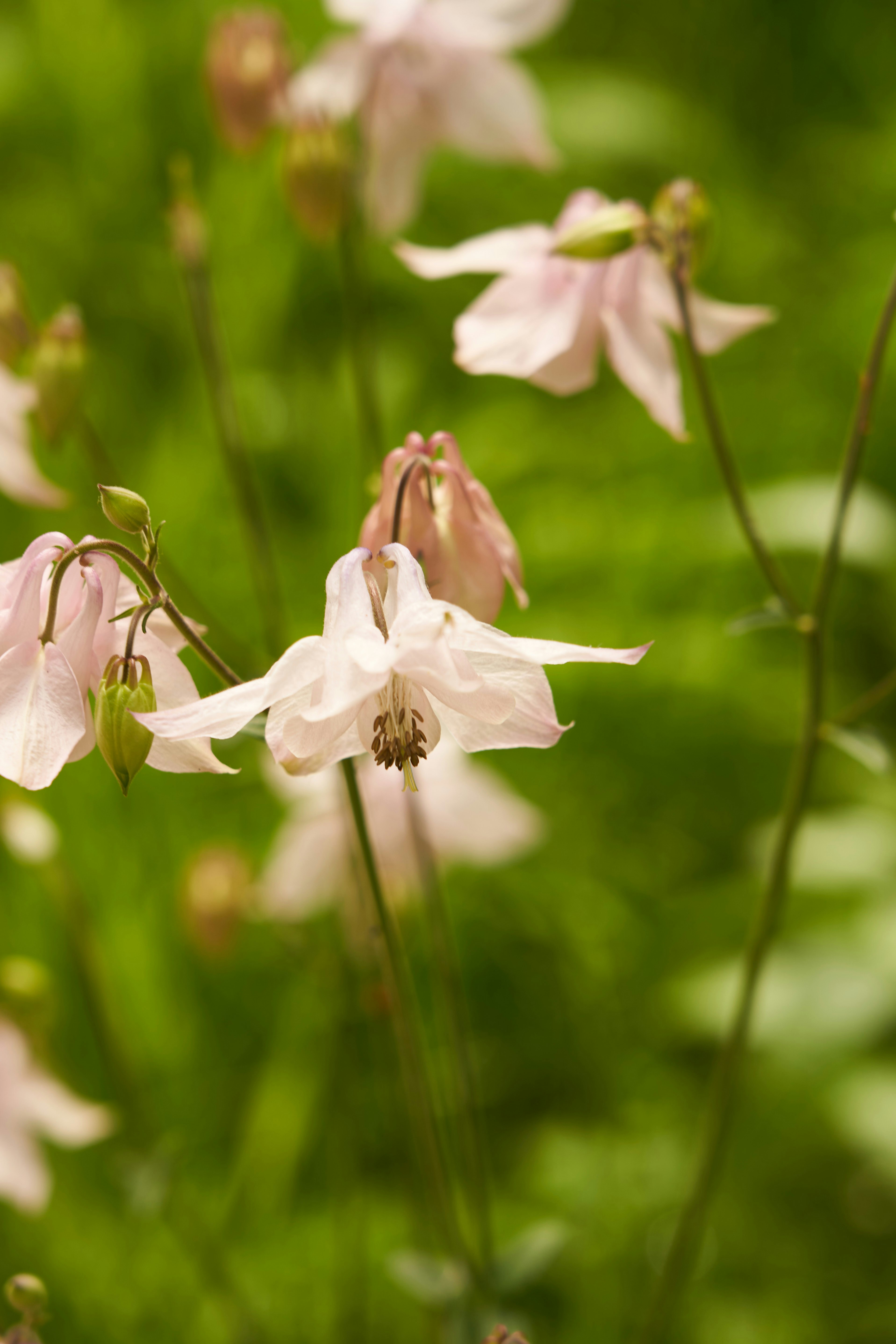 Photo by wolfgang_hasselmann