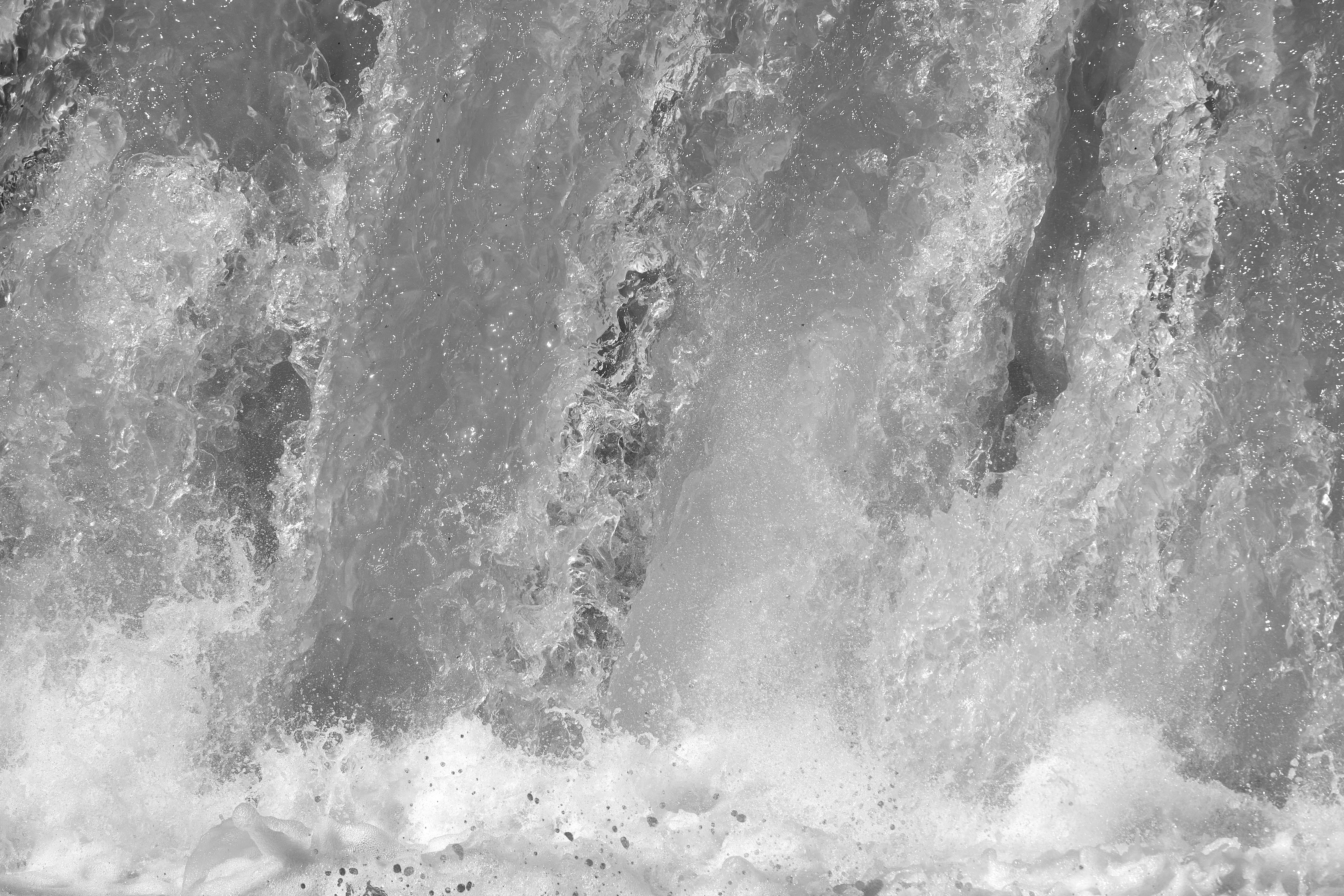 Photo by wolfgang_hasselmann