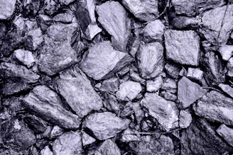 A black and white photo of a pile of rocks