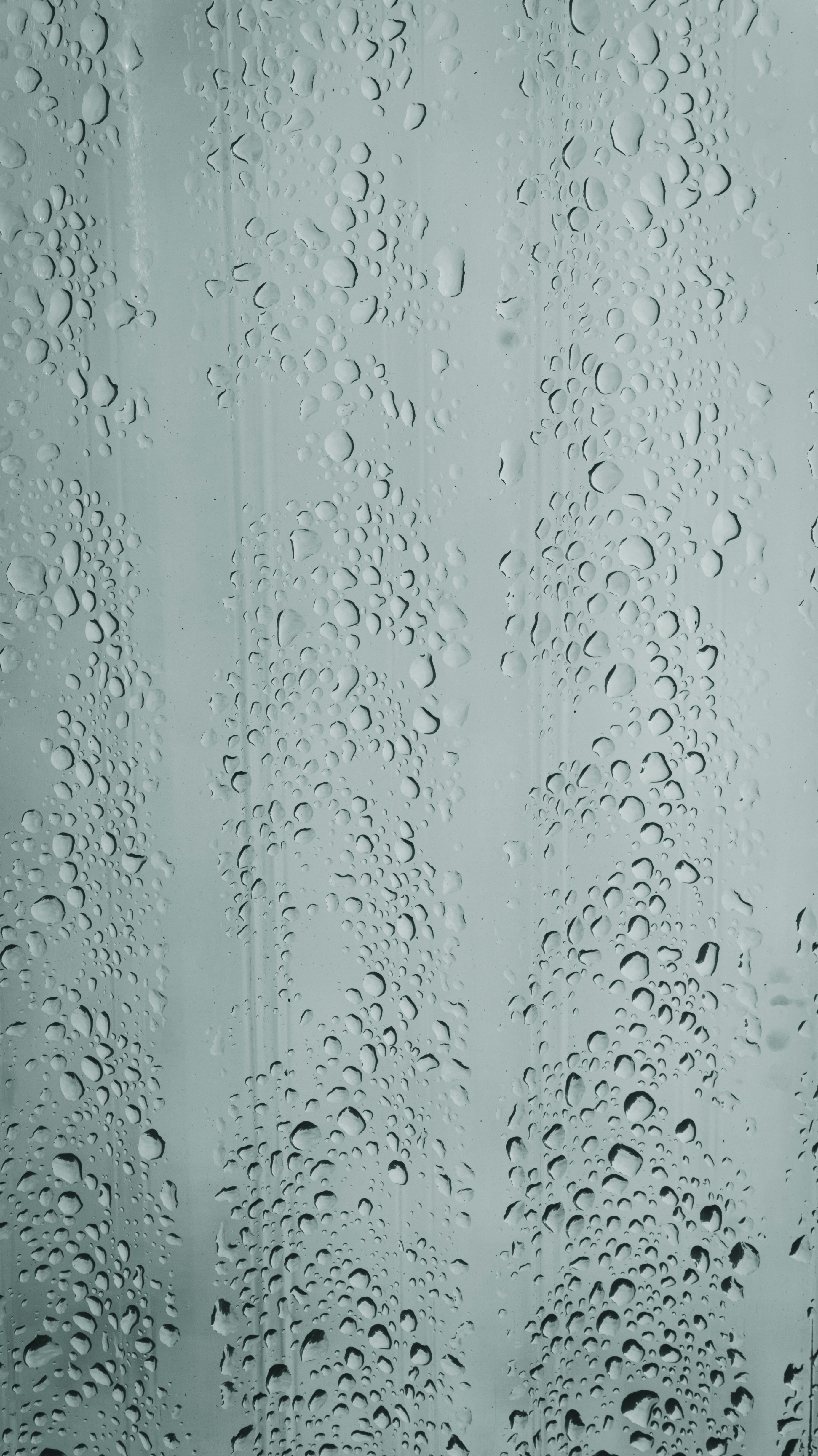 Photo by aletraekaye