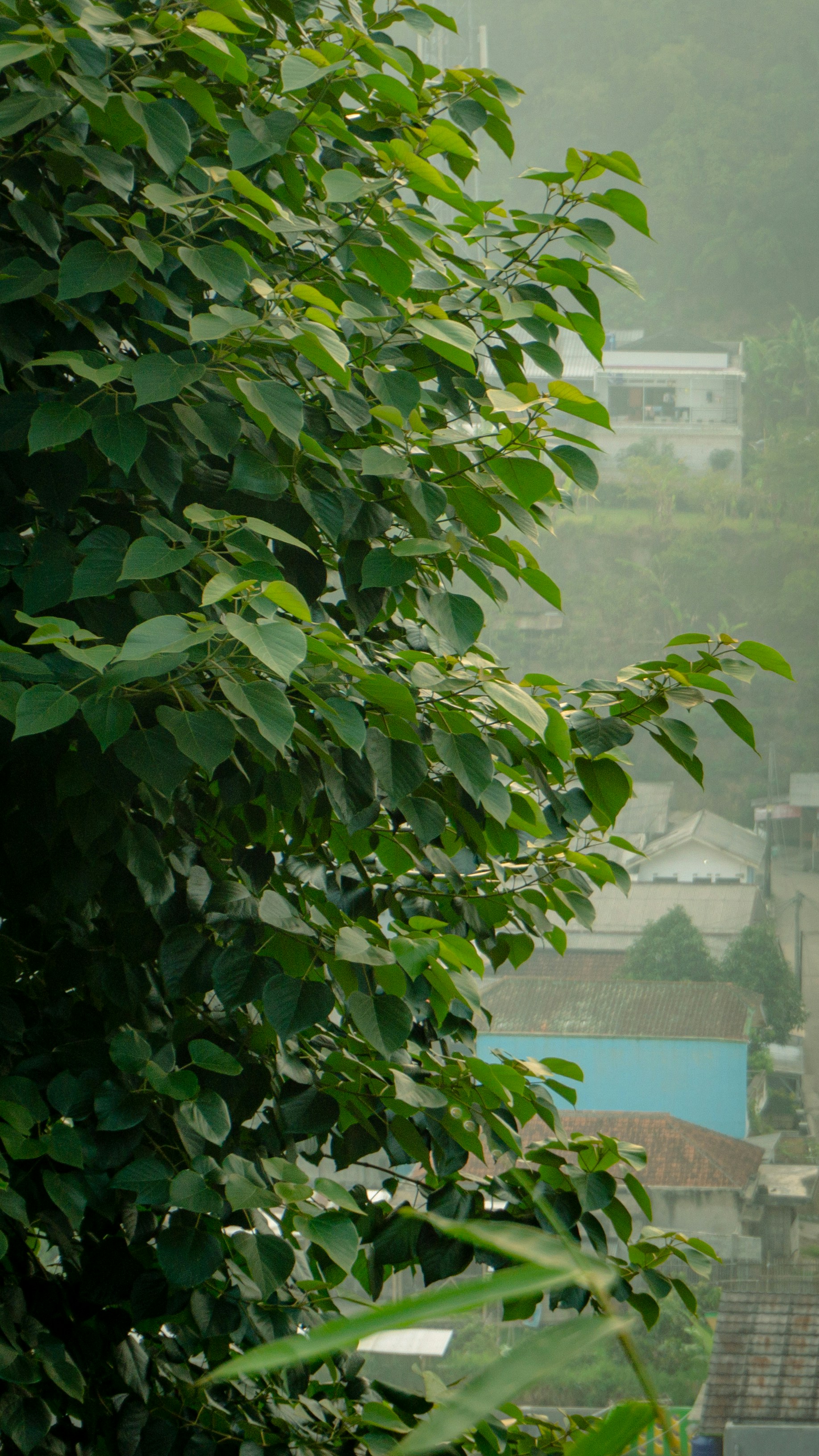 Photo by aletraekaye