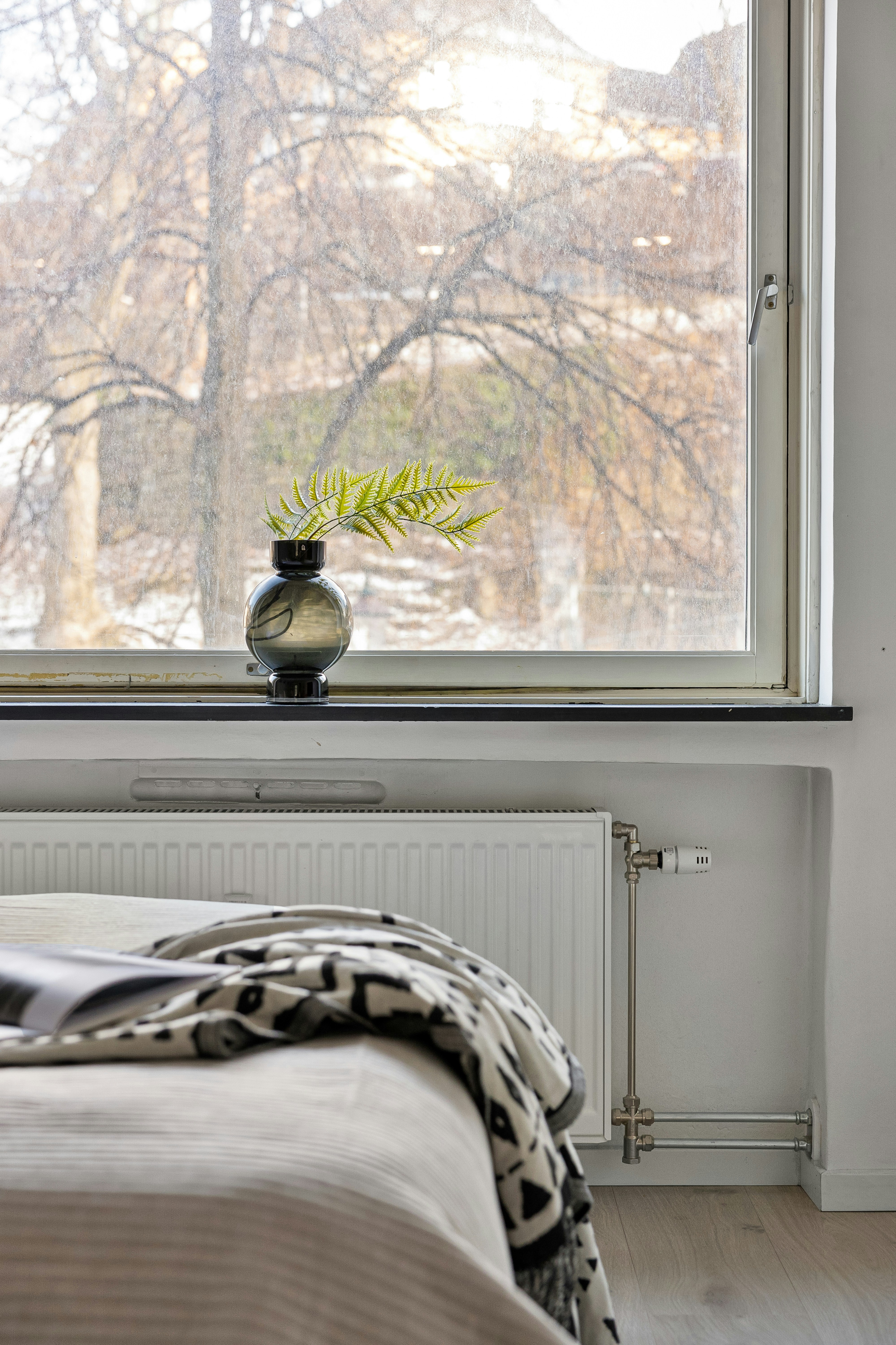 Photo by lisaanna195