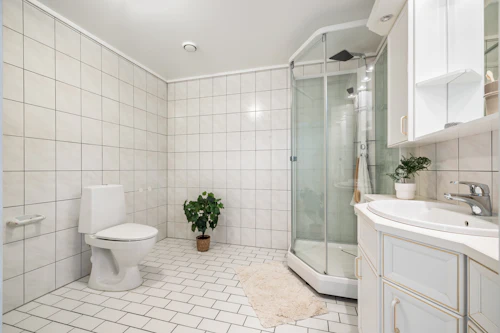 Bathroom before