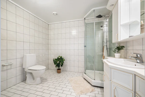 Bathroom before