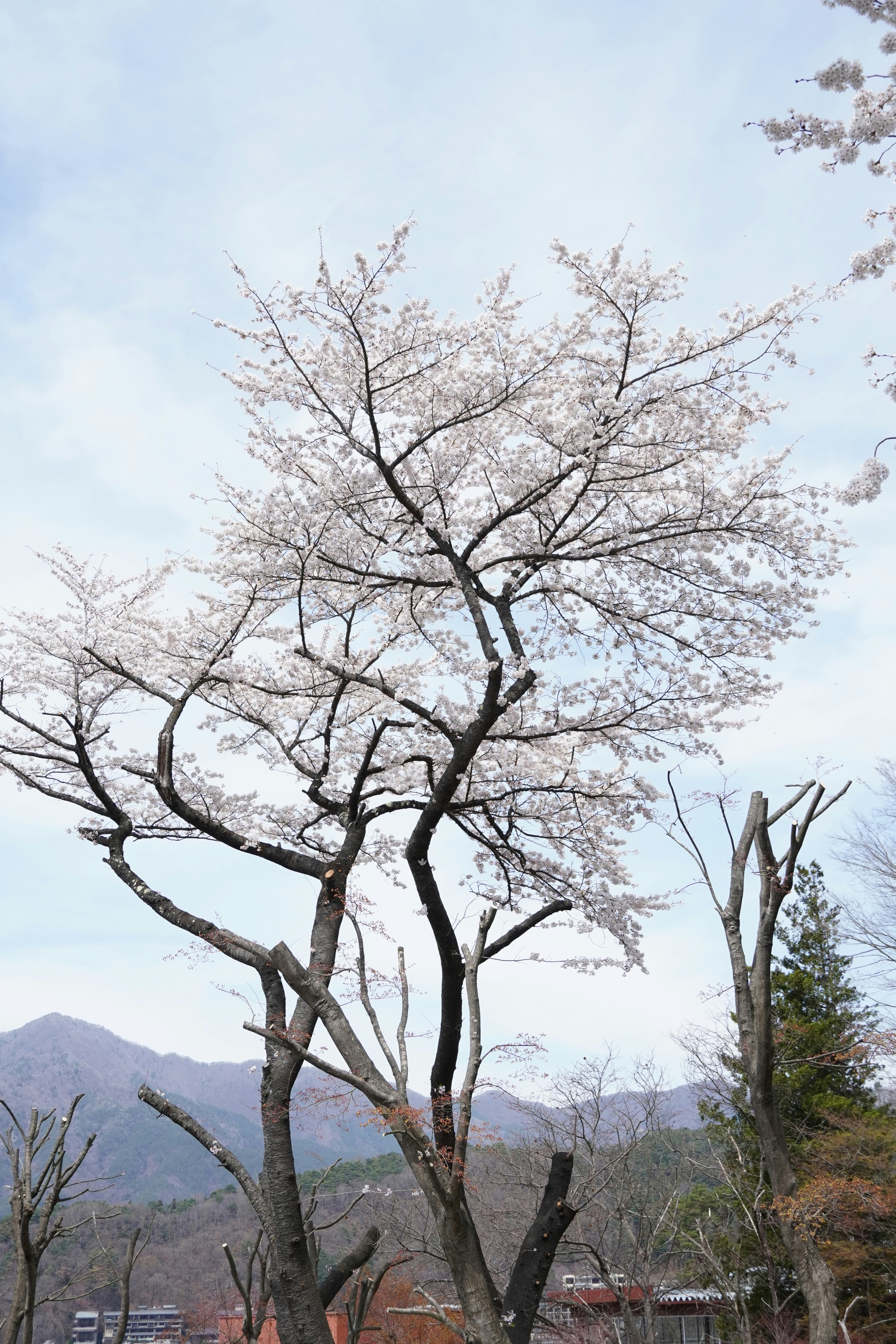 Photo by dsnphotography