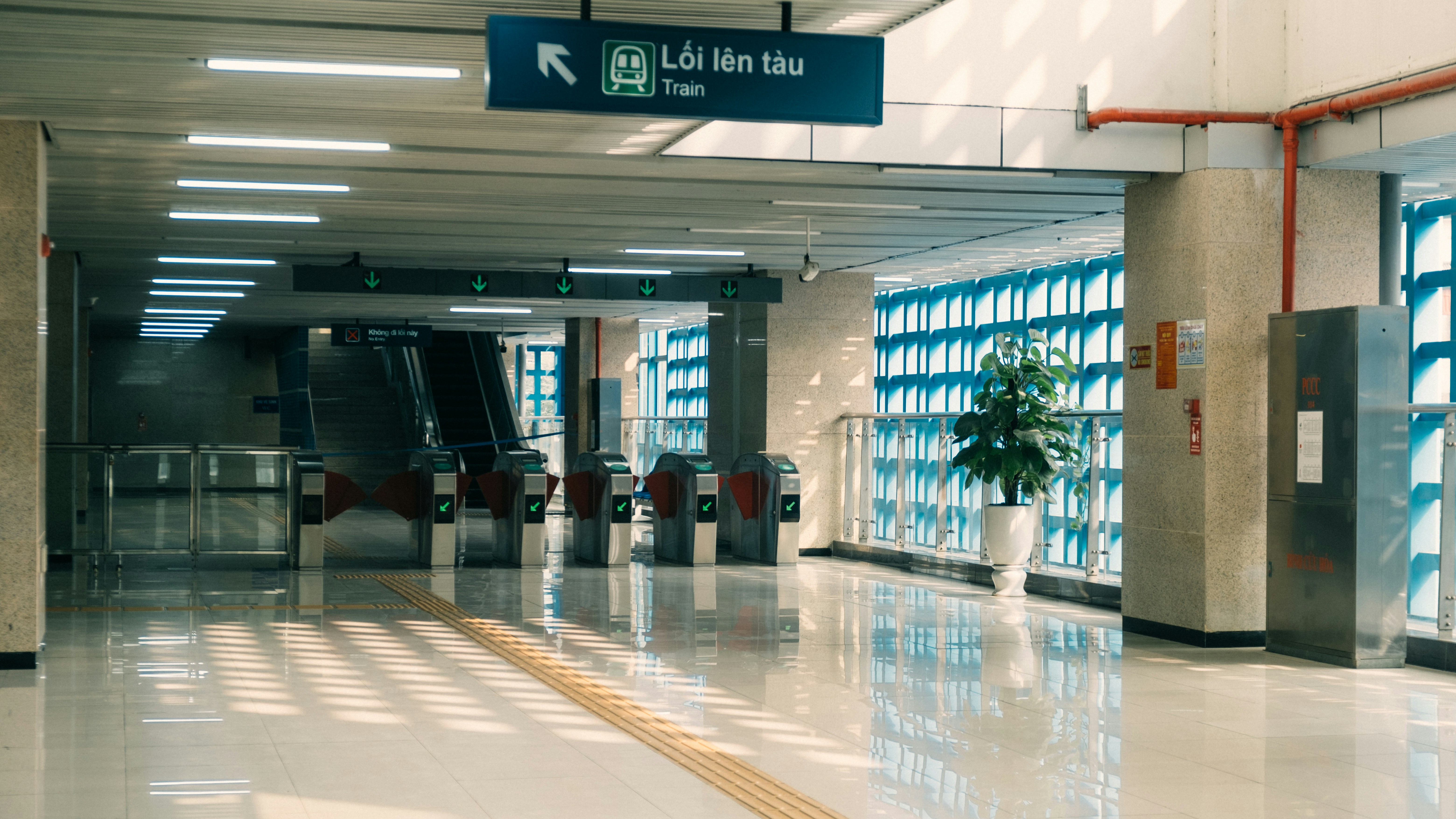 Photo by dying_apricity