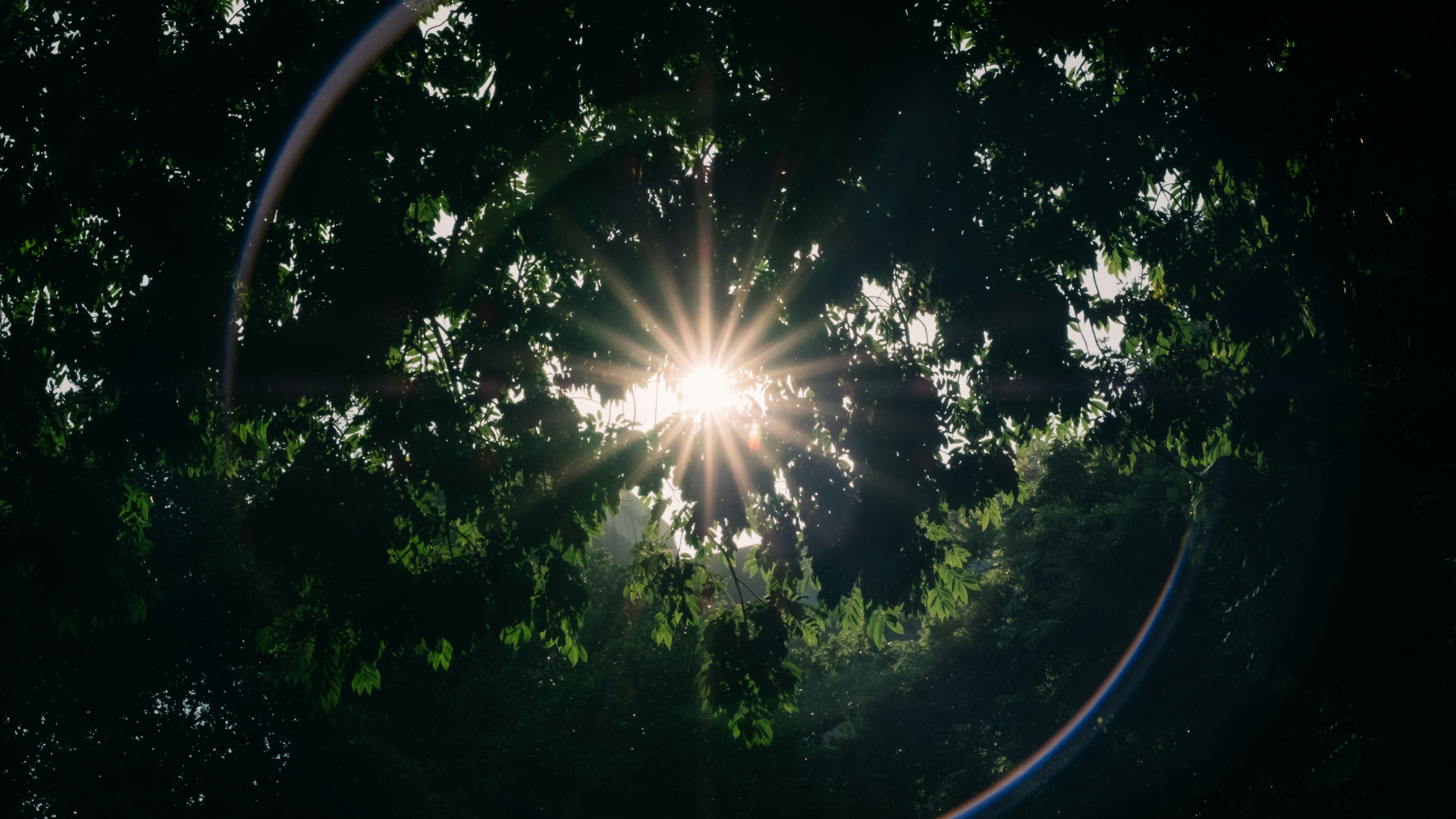 Photo by dying_apricity