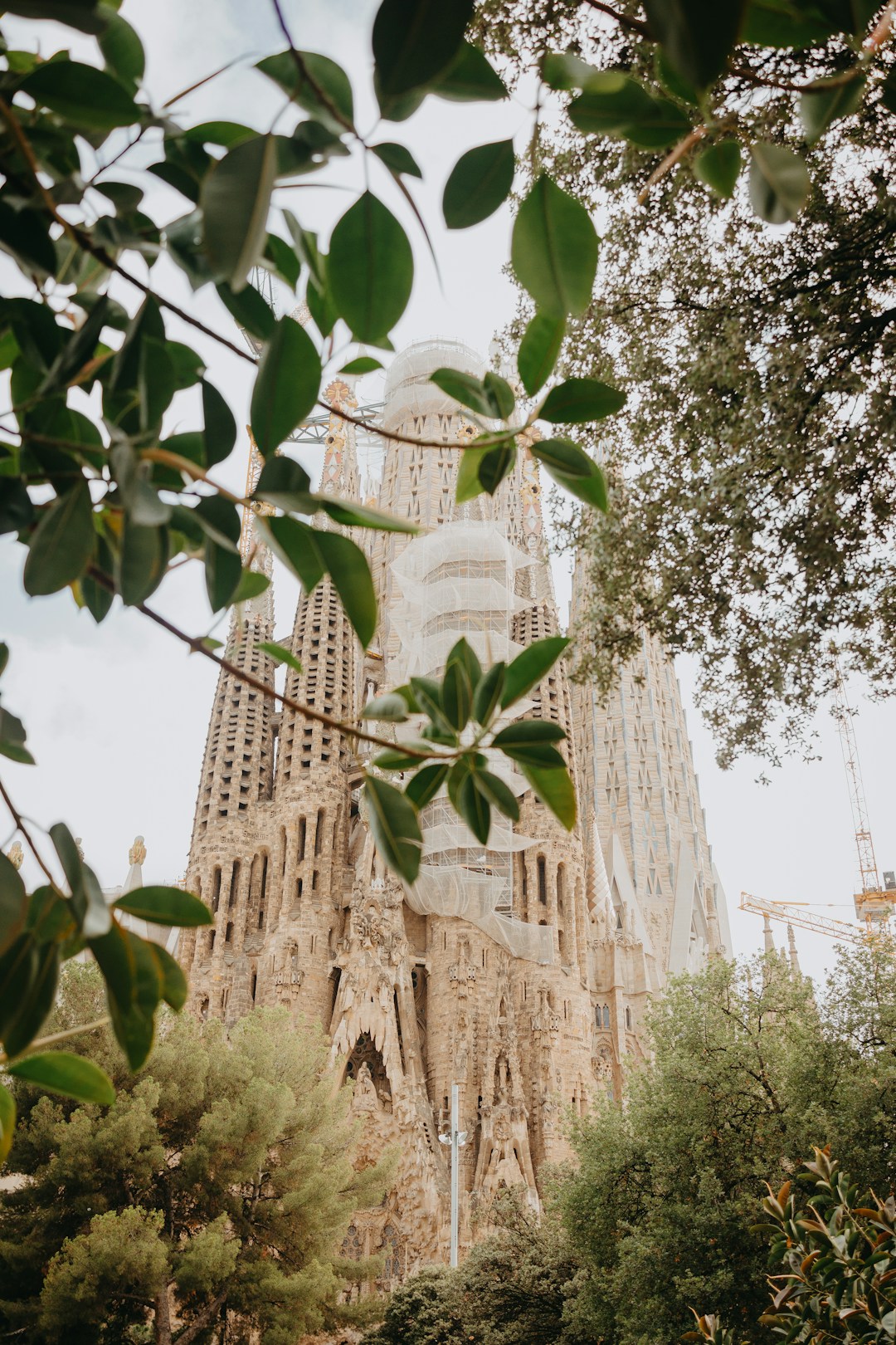 Barcelona - La Sagrada Família in Barcelona seen from street level