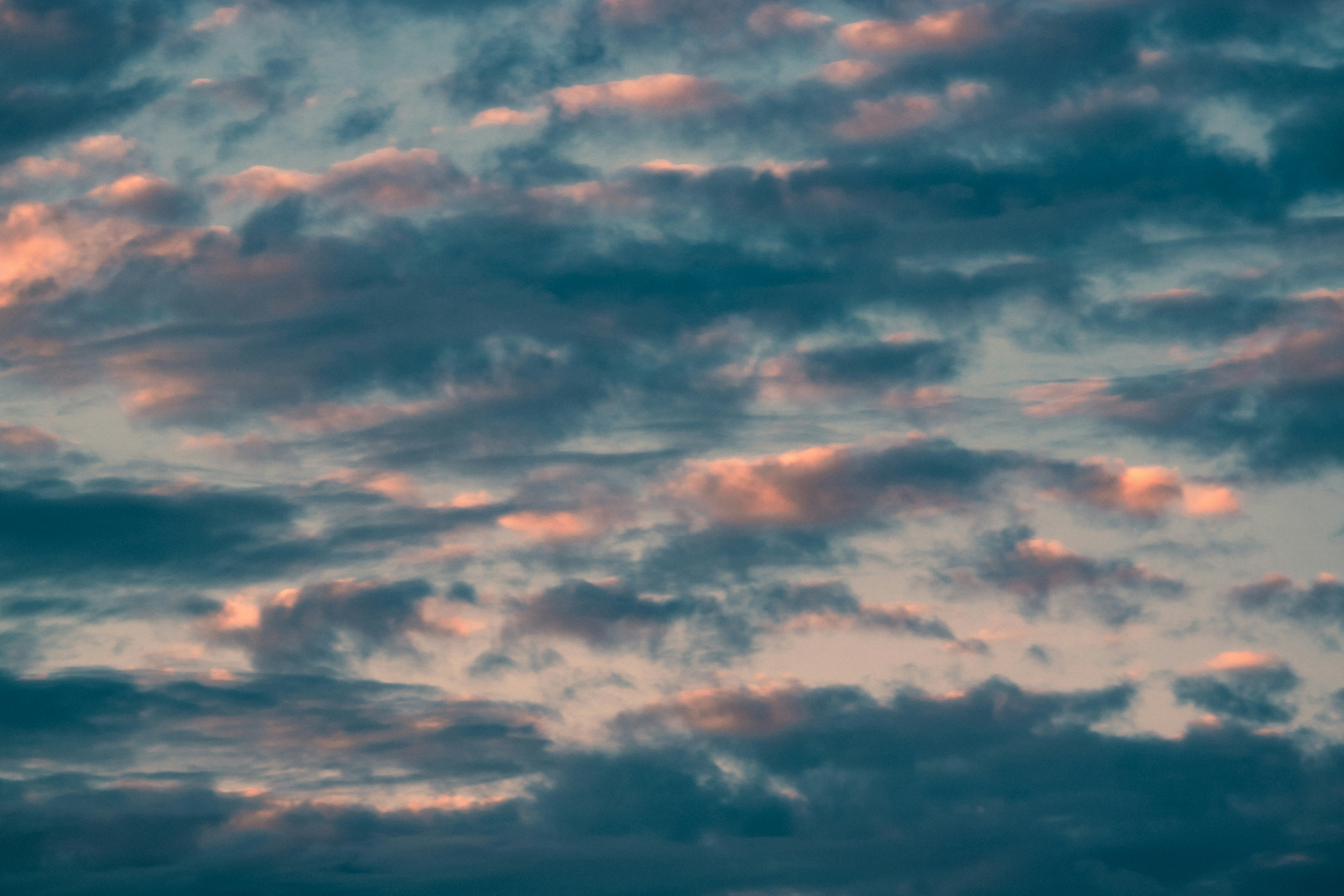 Photo by dying_apricity