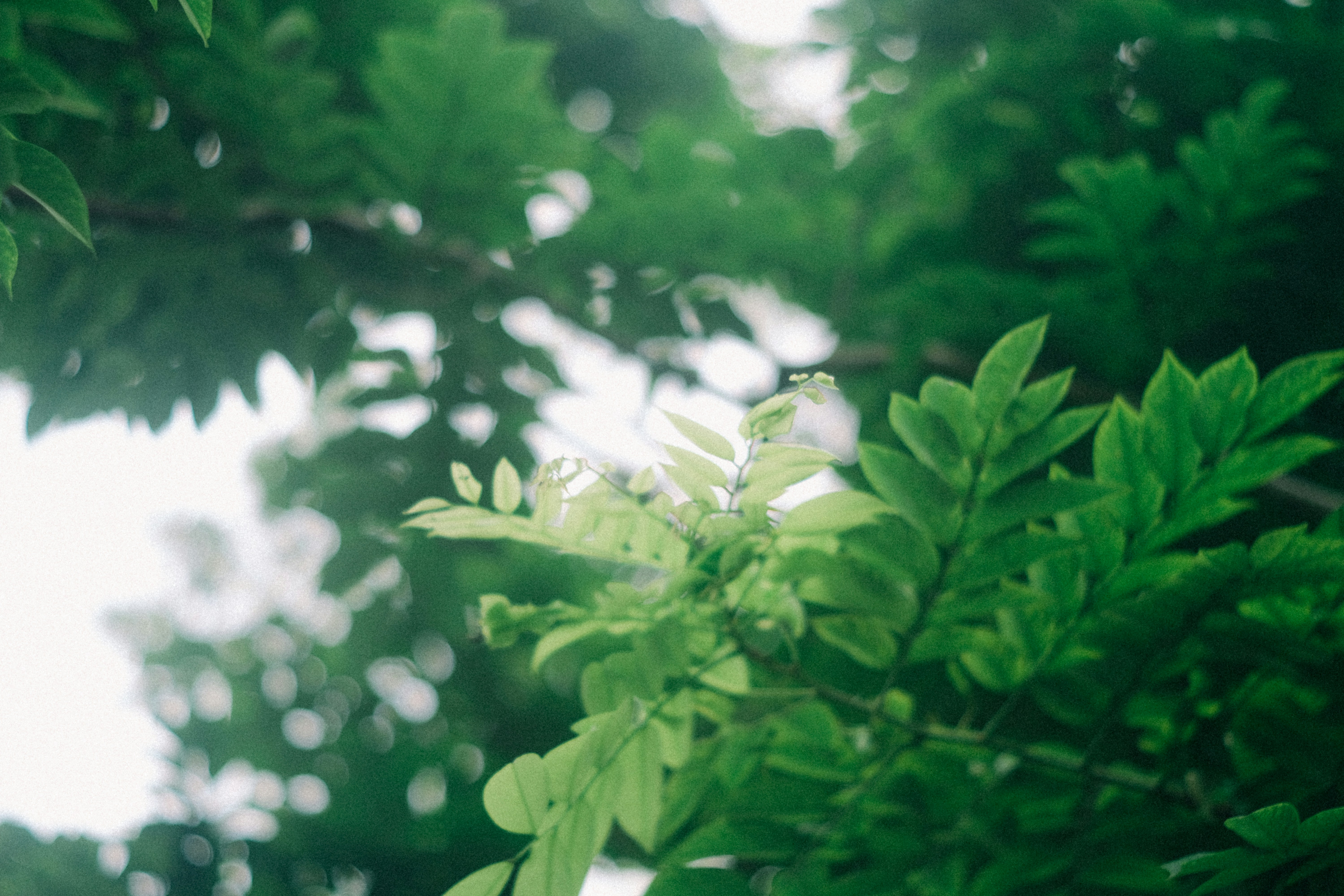 Photo by dying_apricity