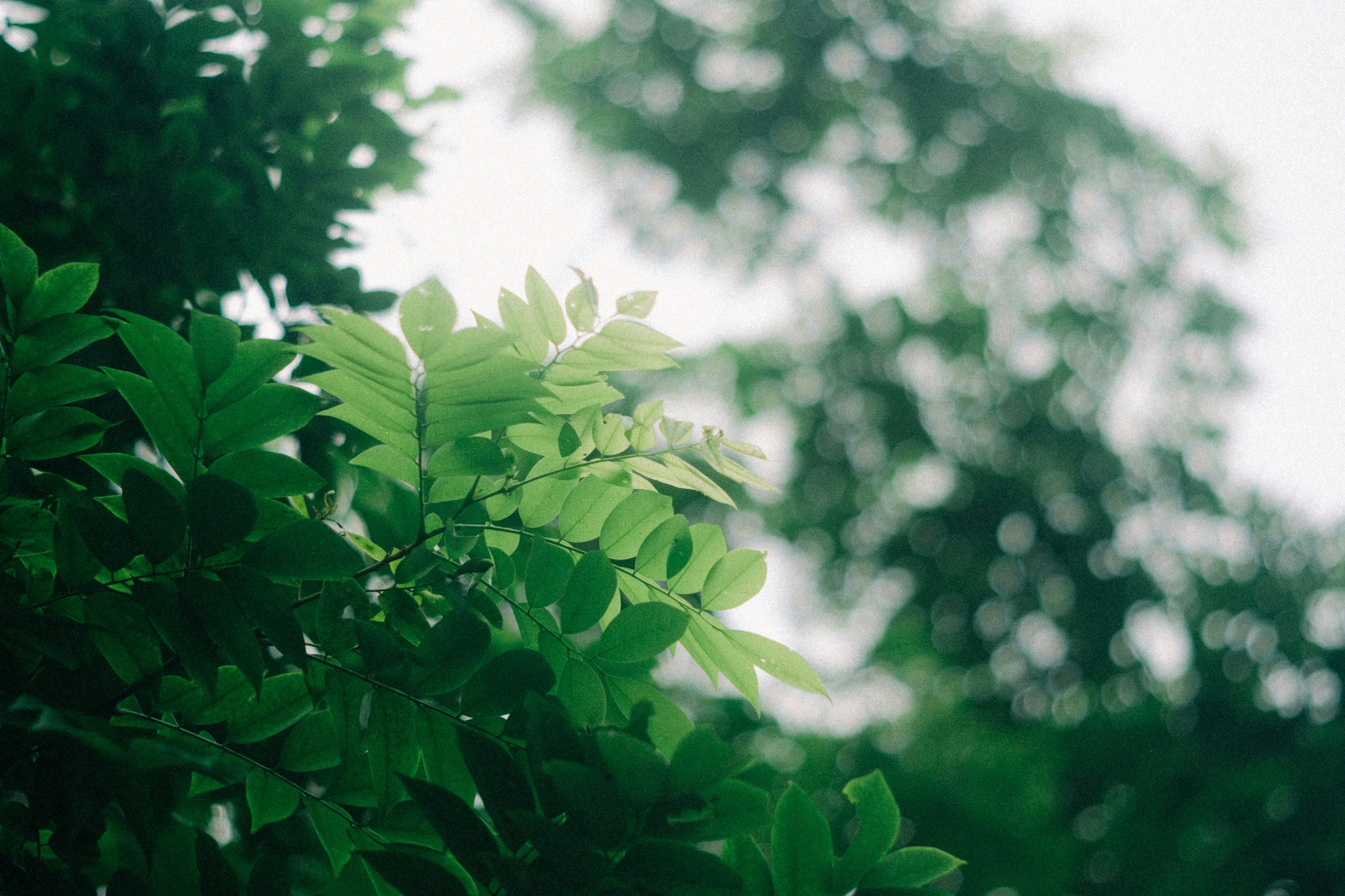 Photo by dying_apricity