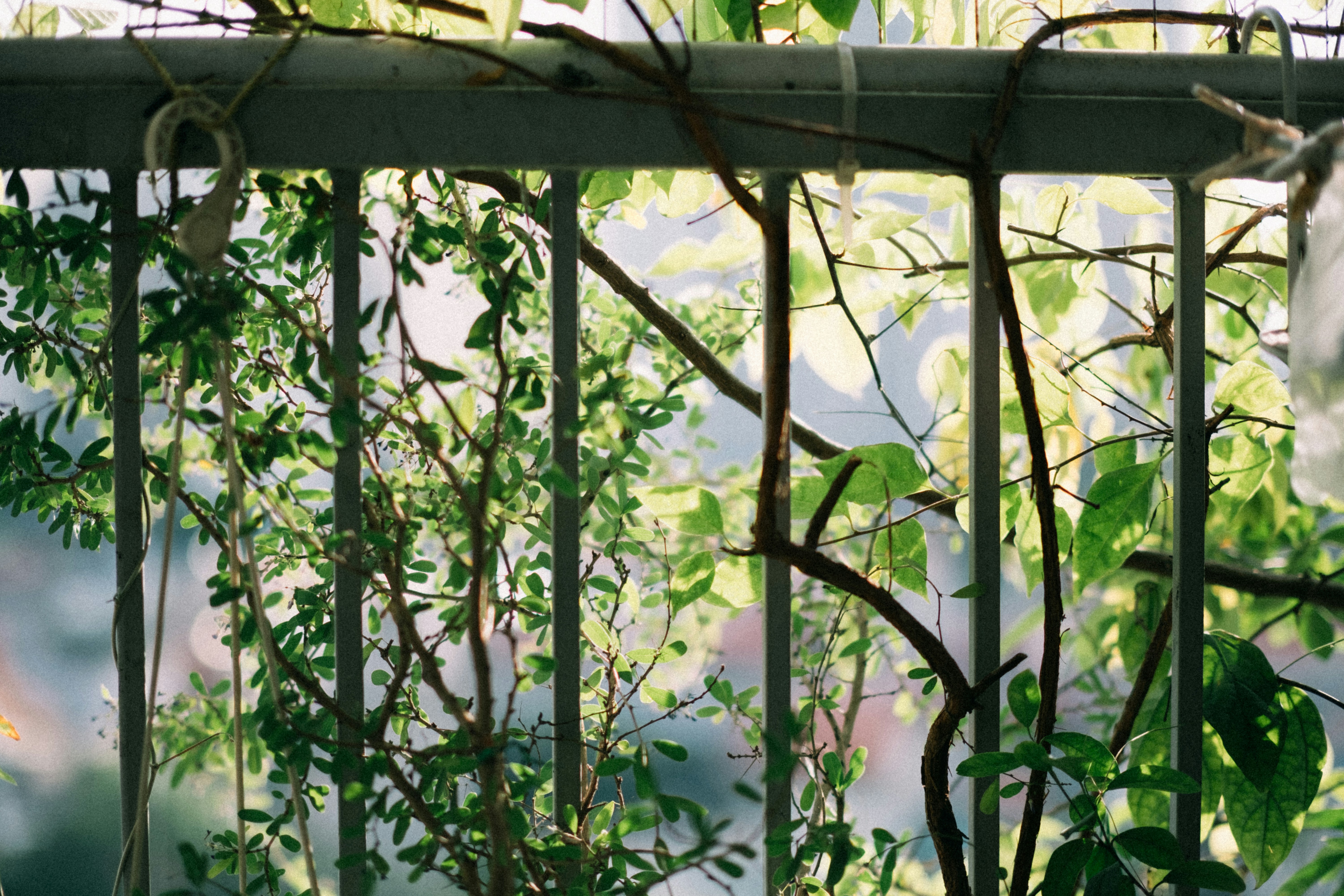 Photo by dying_apricity