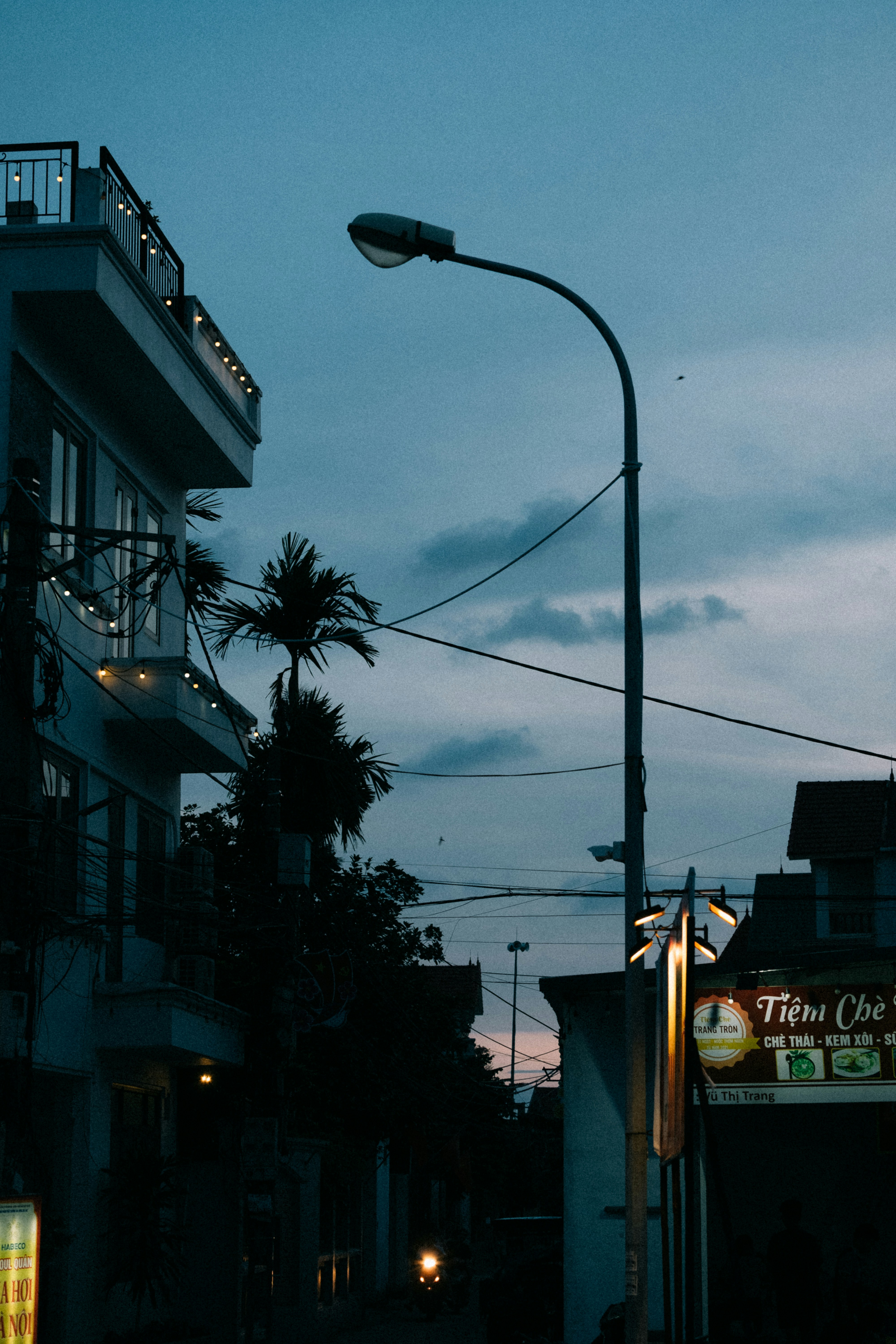 Photo by dying_apricity