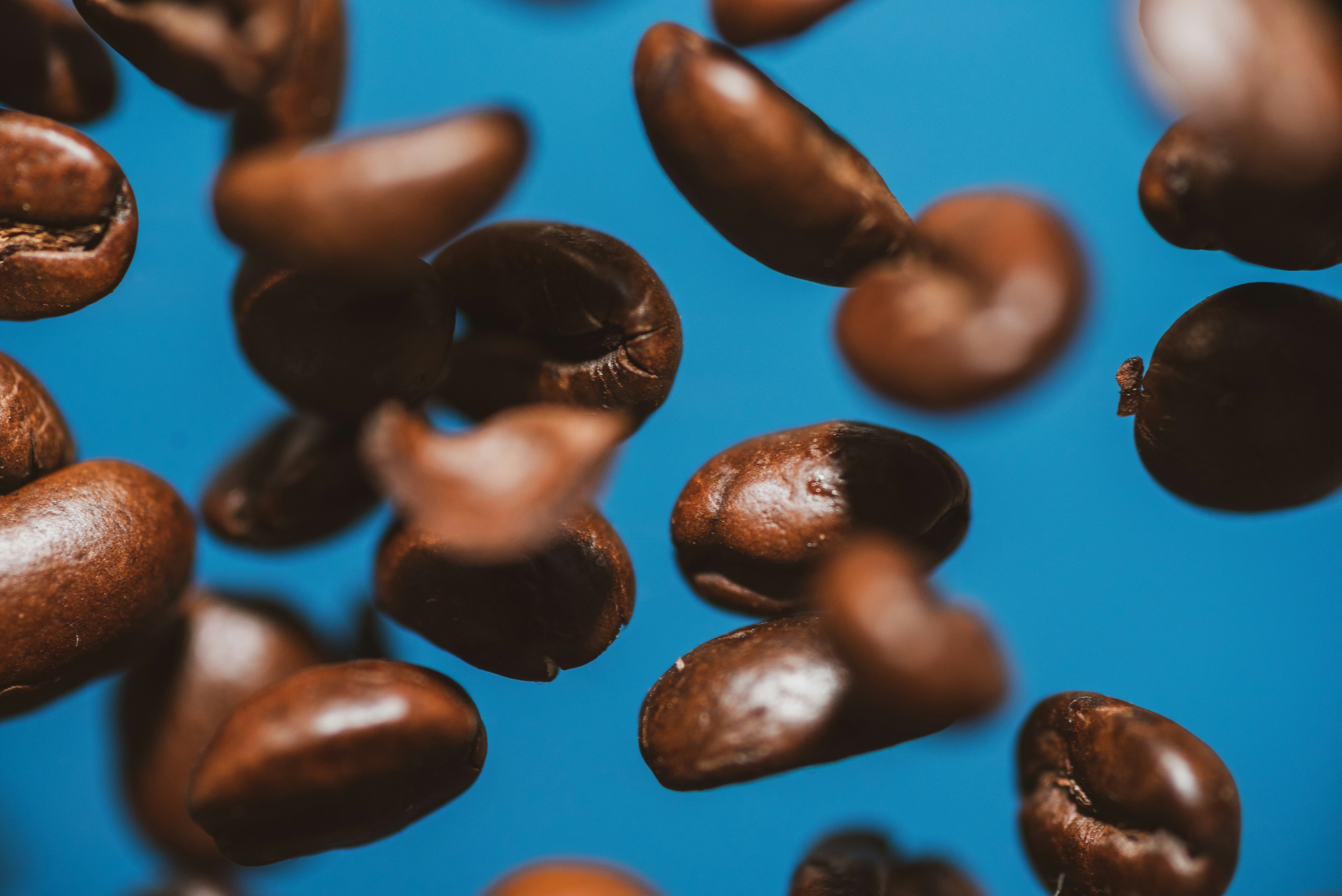 A bunch of coffee beans on a blue surface