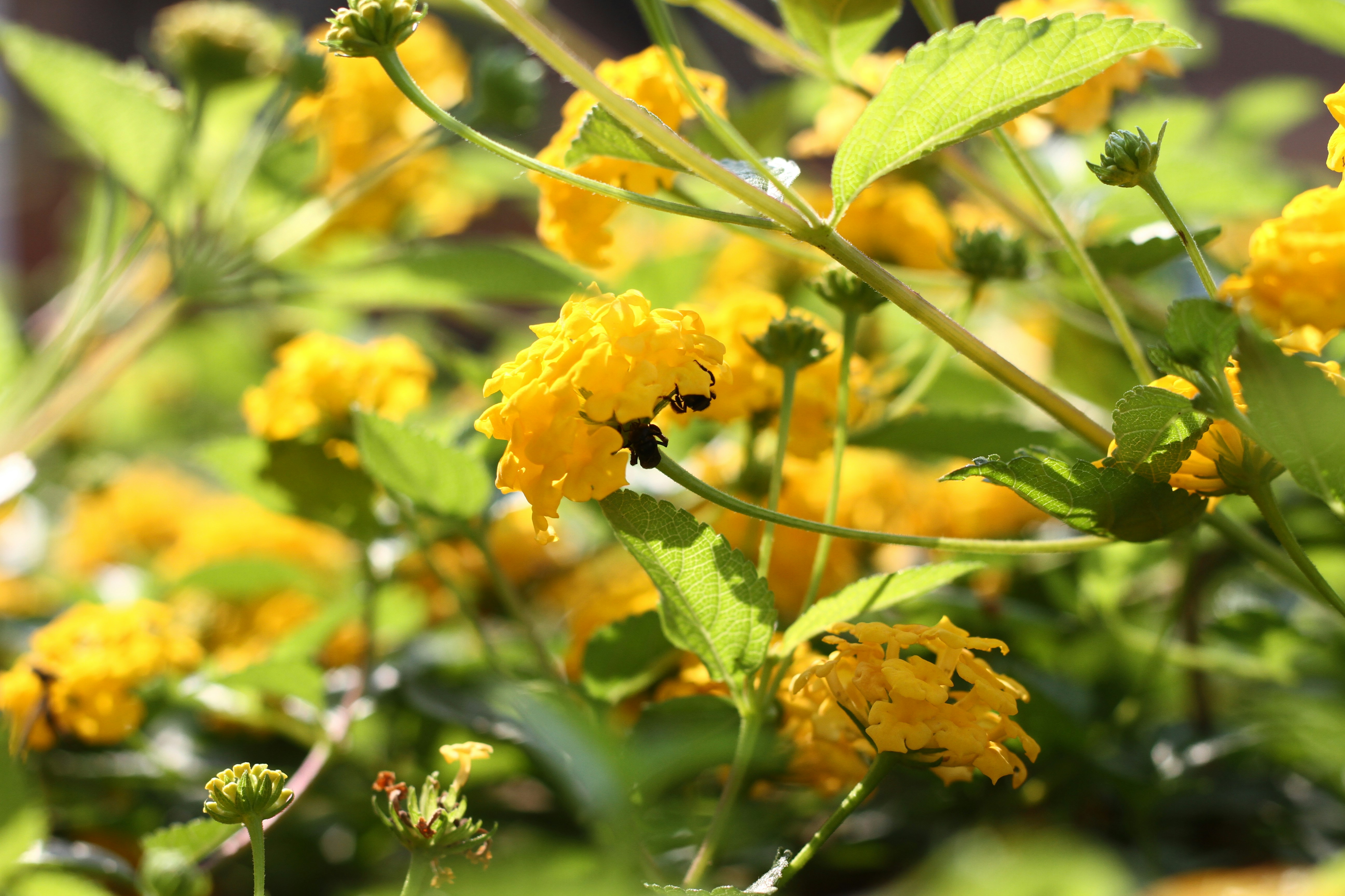 Photo by najoi_designer