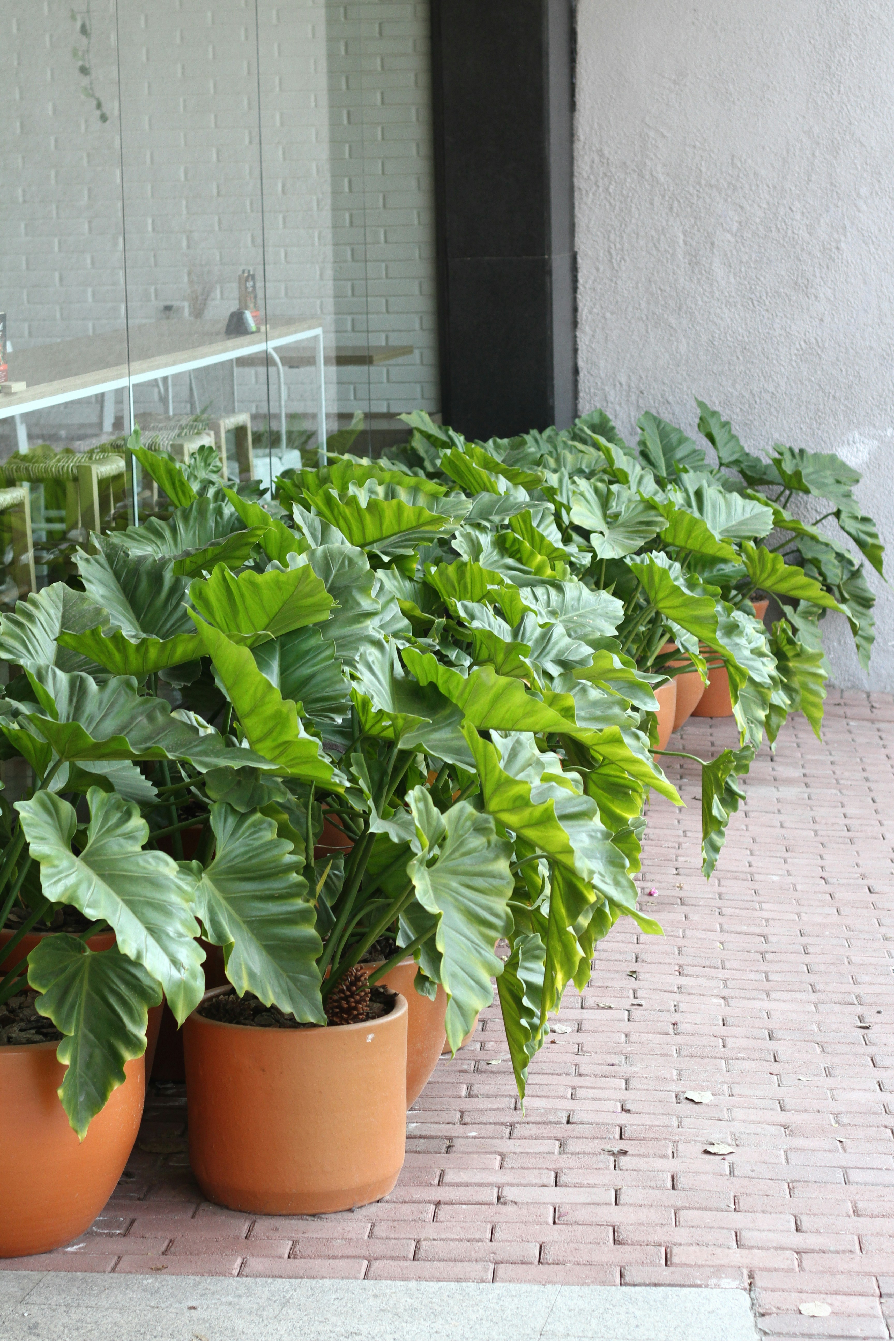 Photo by najoi_designer