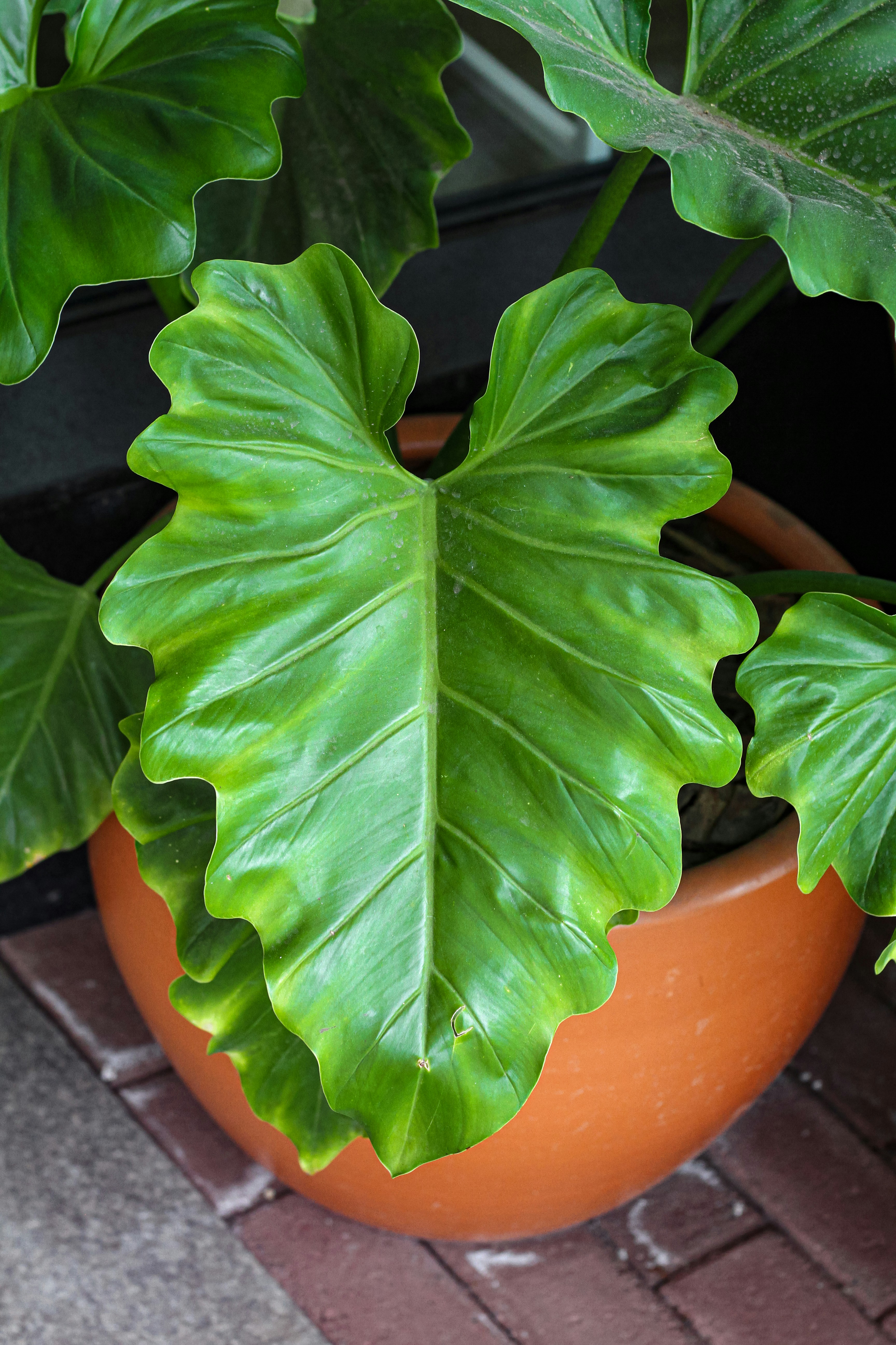 Photo by najoi_designer