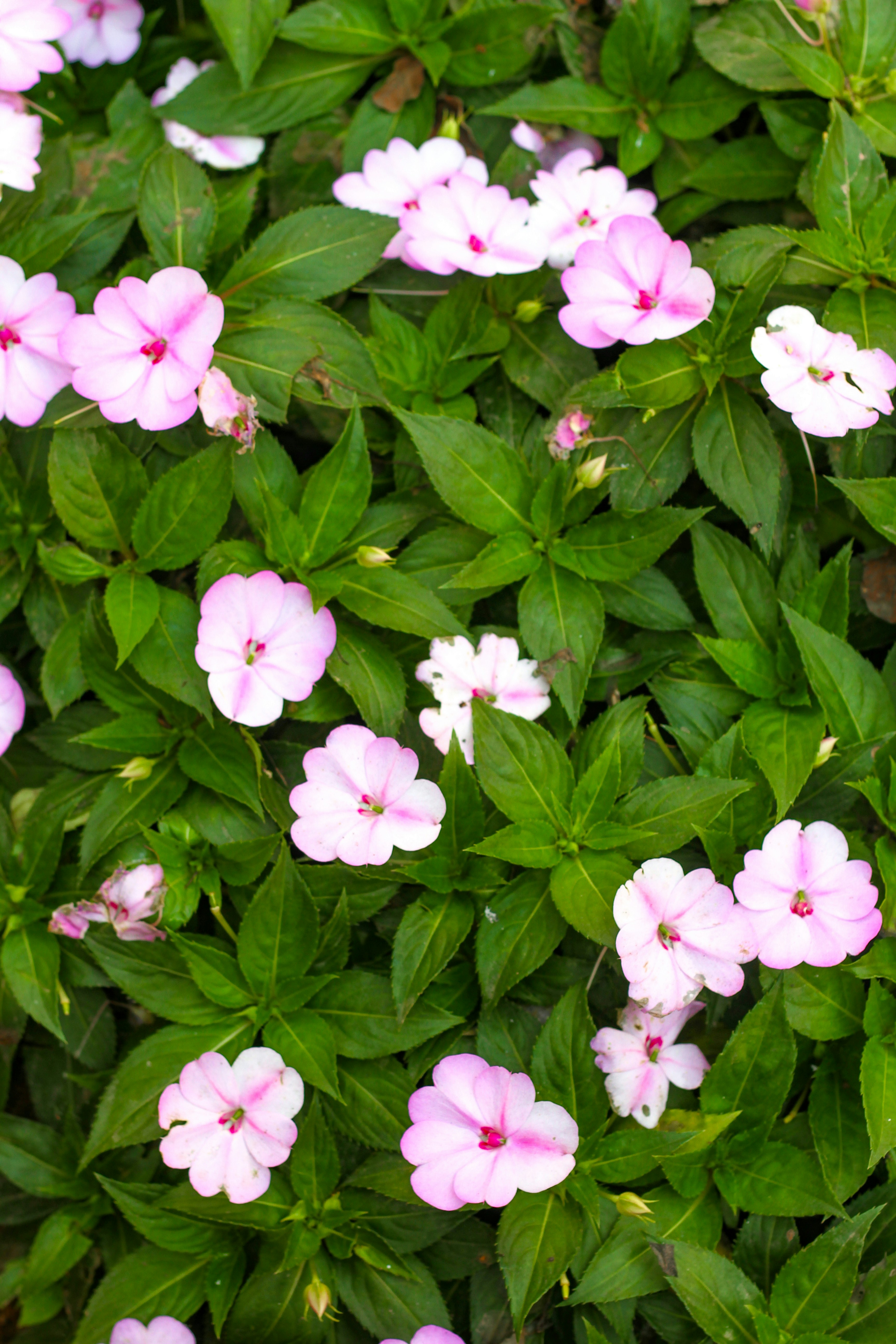 Photo by najoi_designer