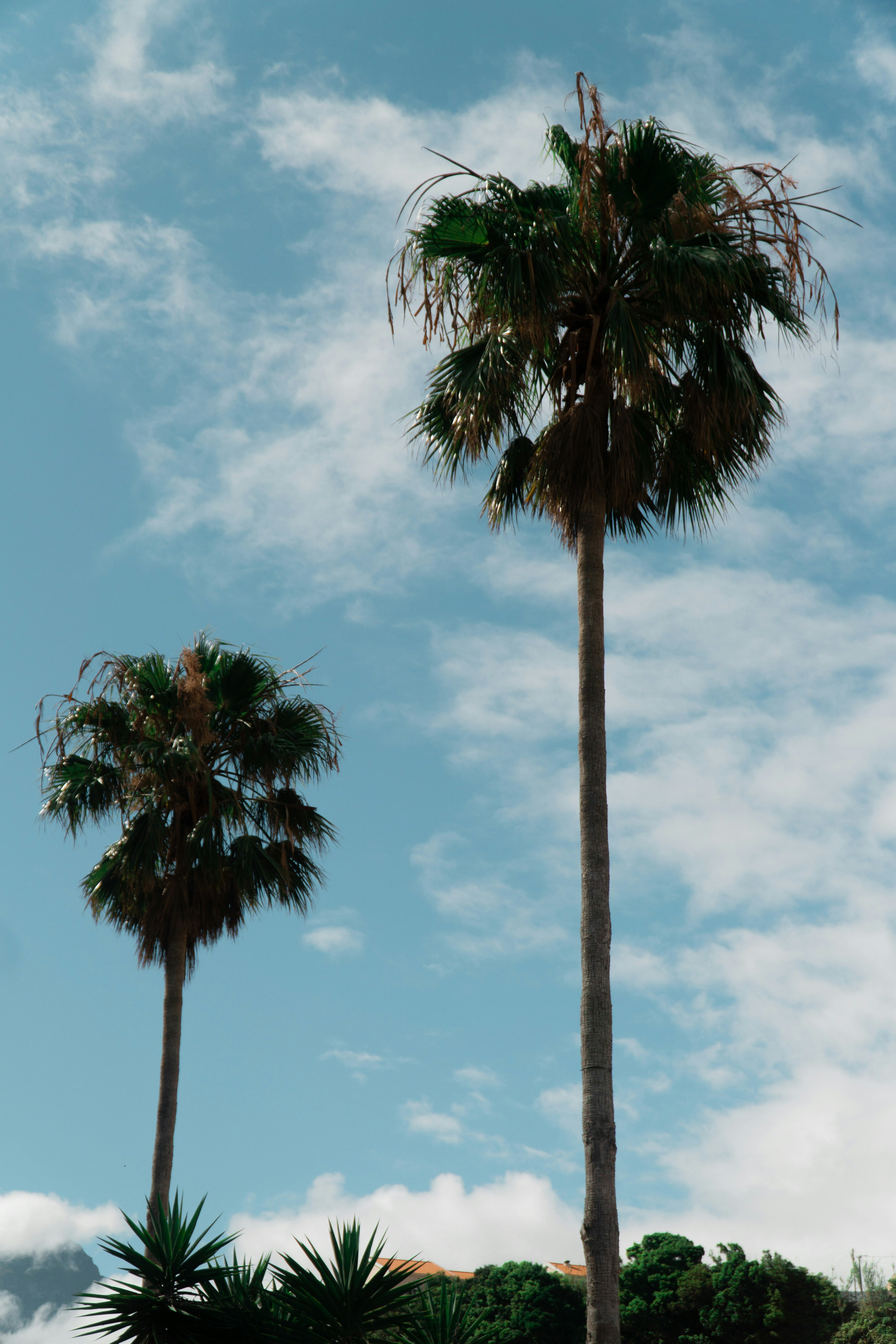 Photo by fanjatastisch