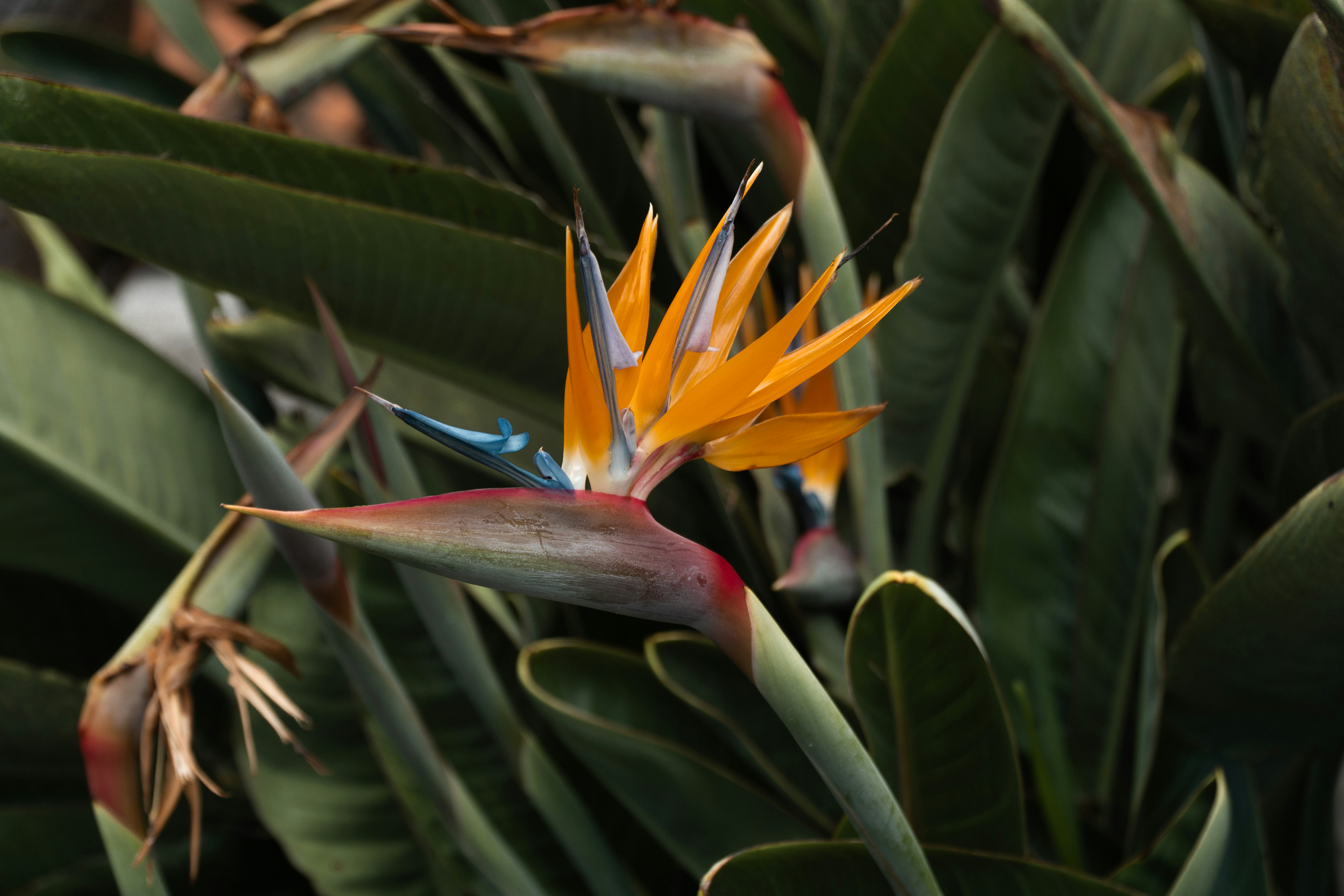 Photo by fanjatastisch