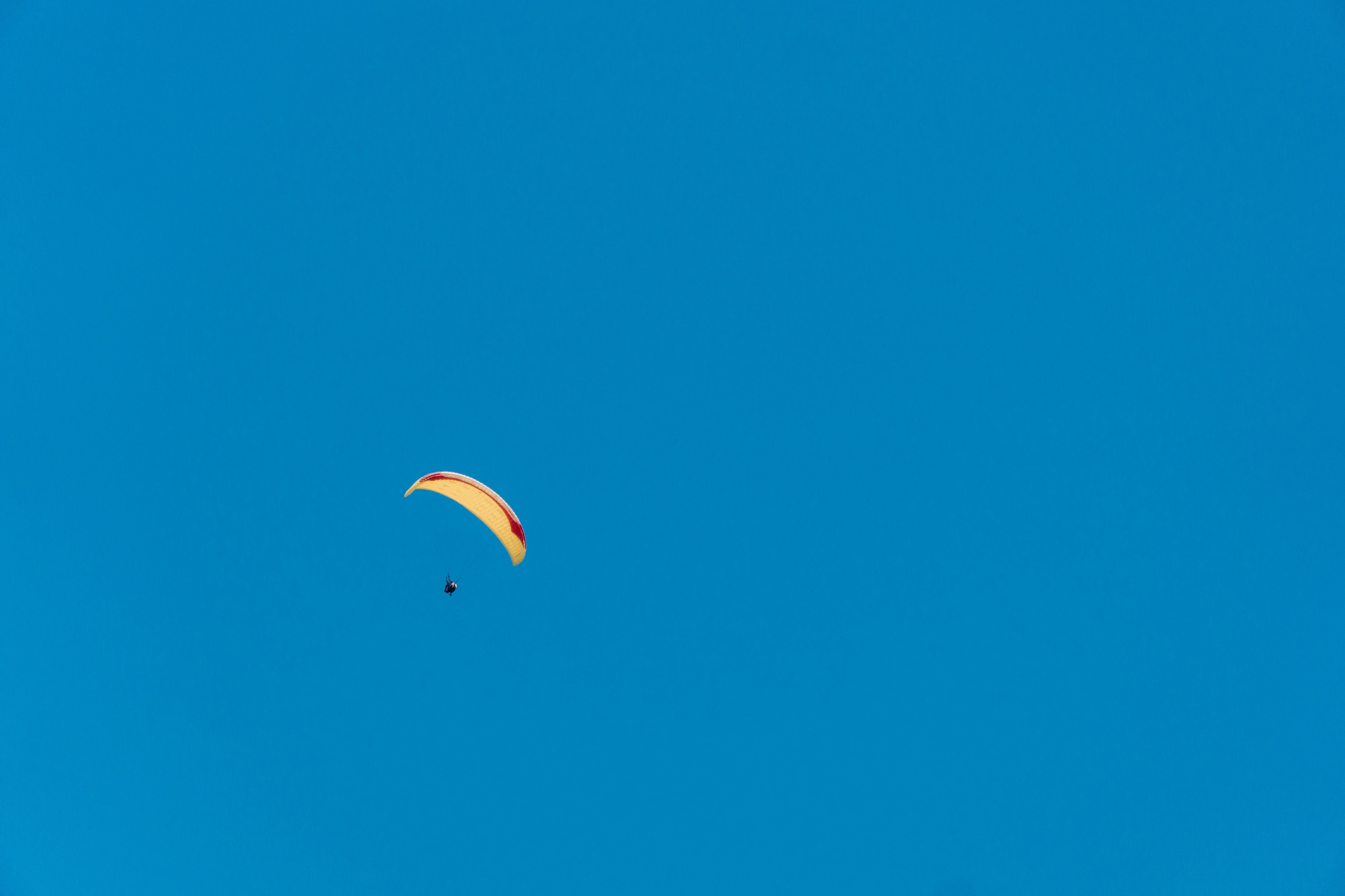 A couple of kites flying through a blue sky