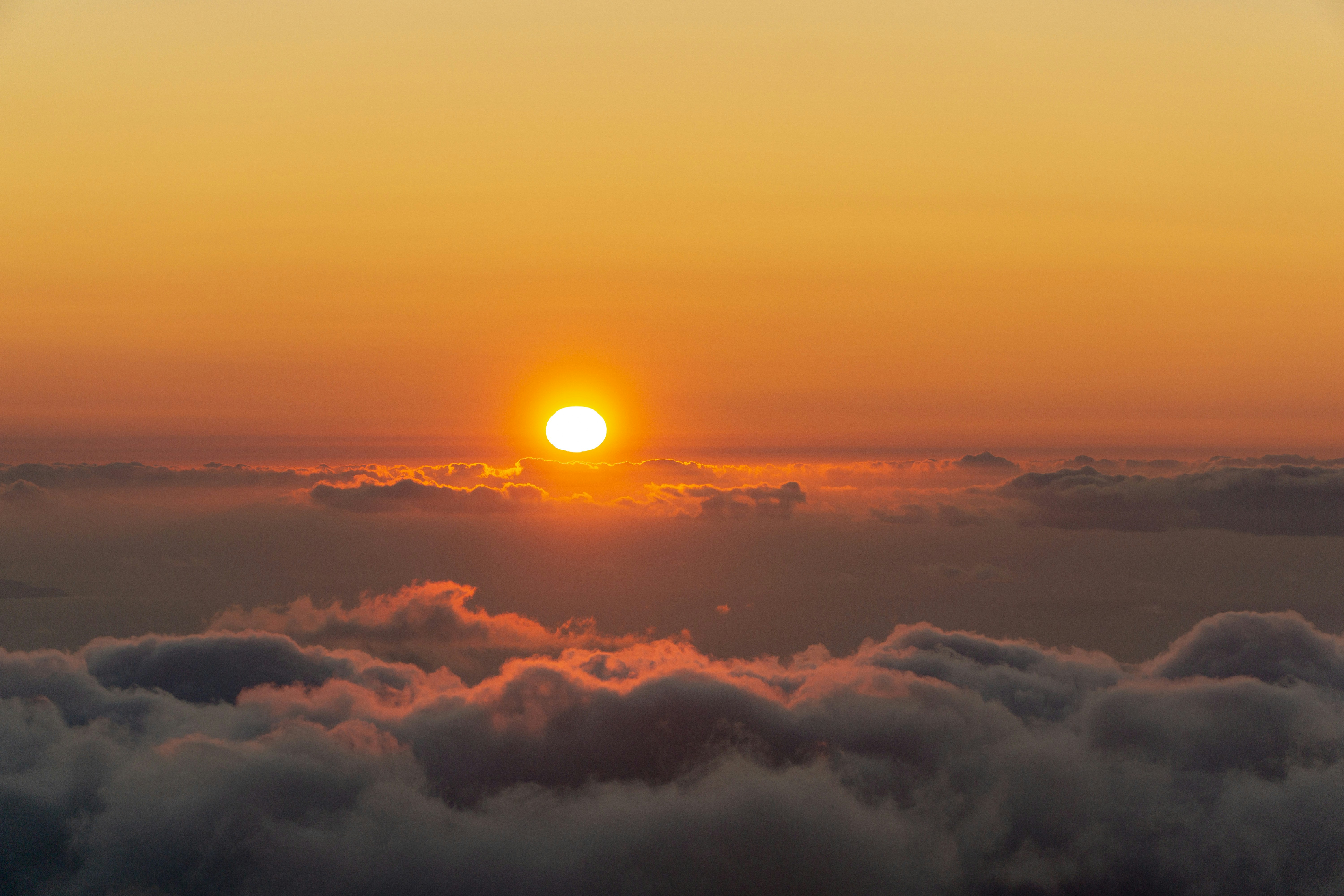 Photo by fanjatastisch