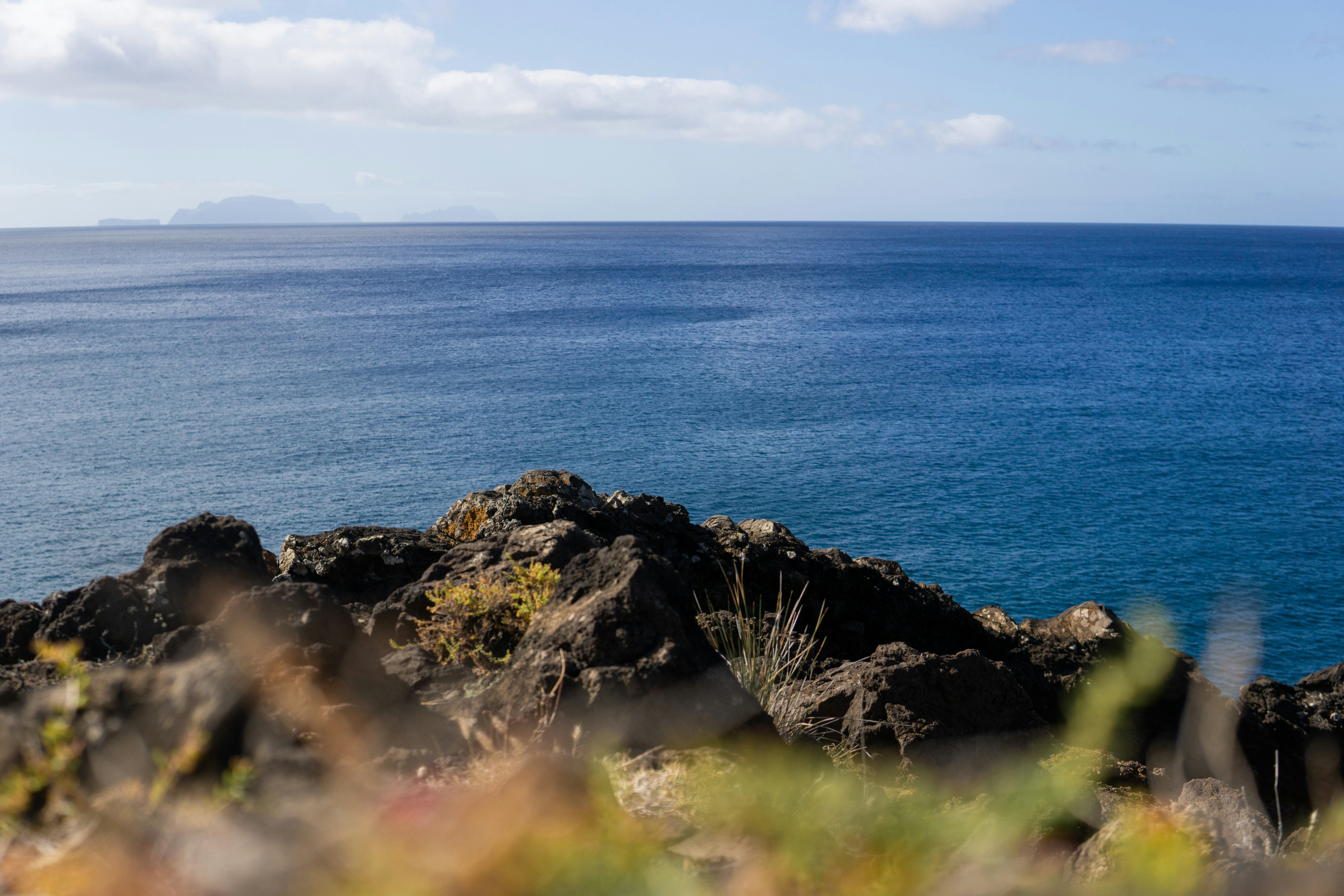 Photo by fanjatastisch