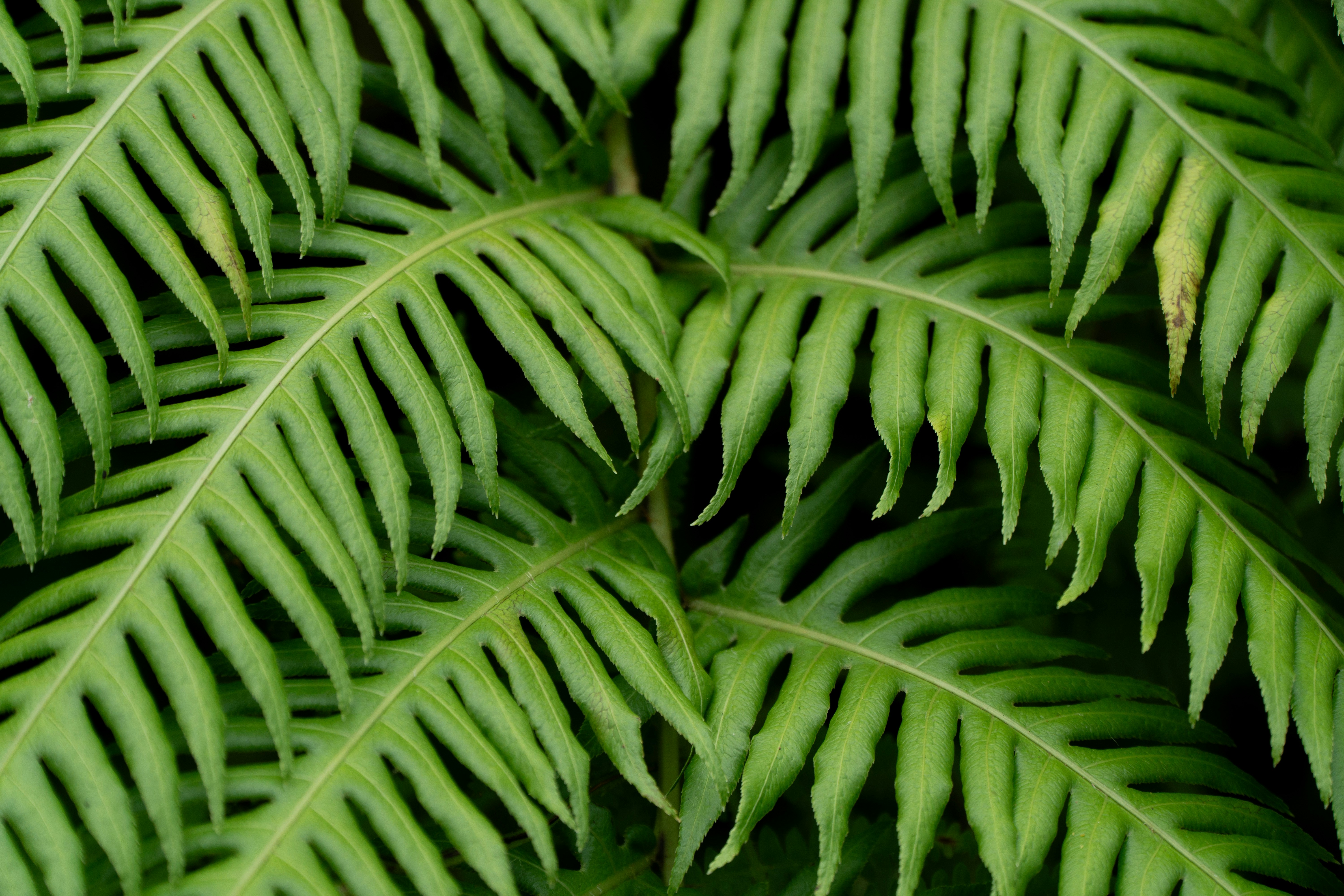 Photo by fanjatastisch