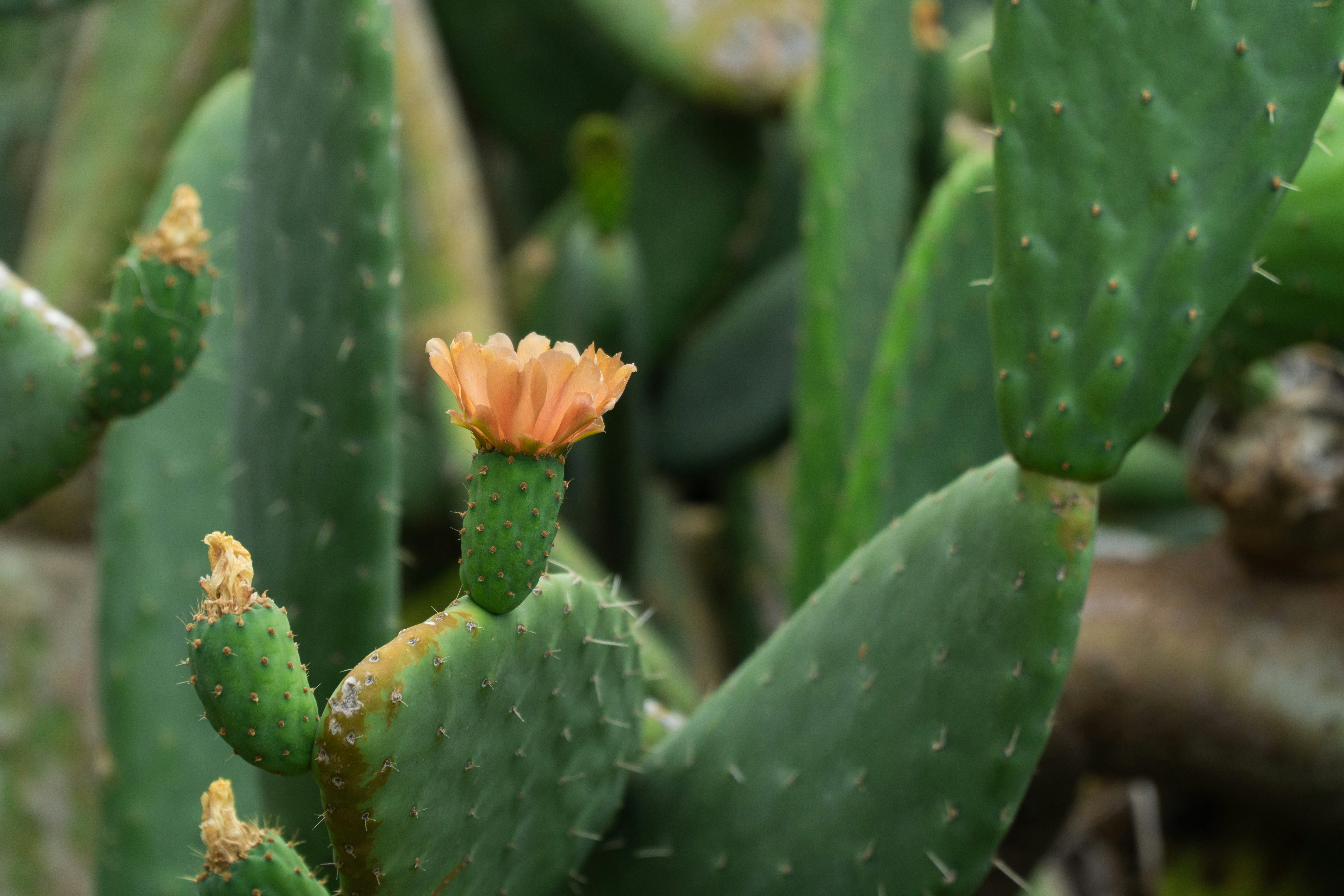 Photo by fanjatastisch