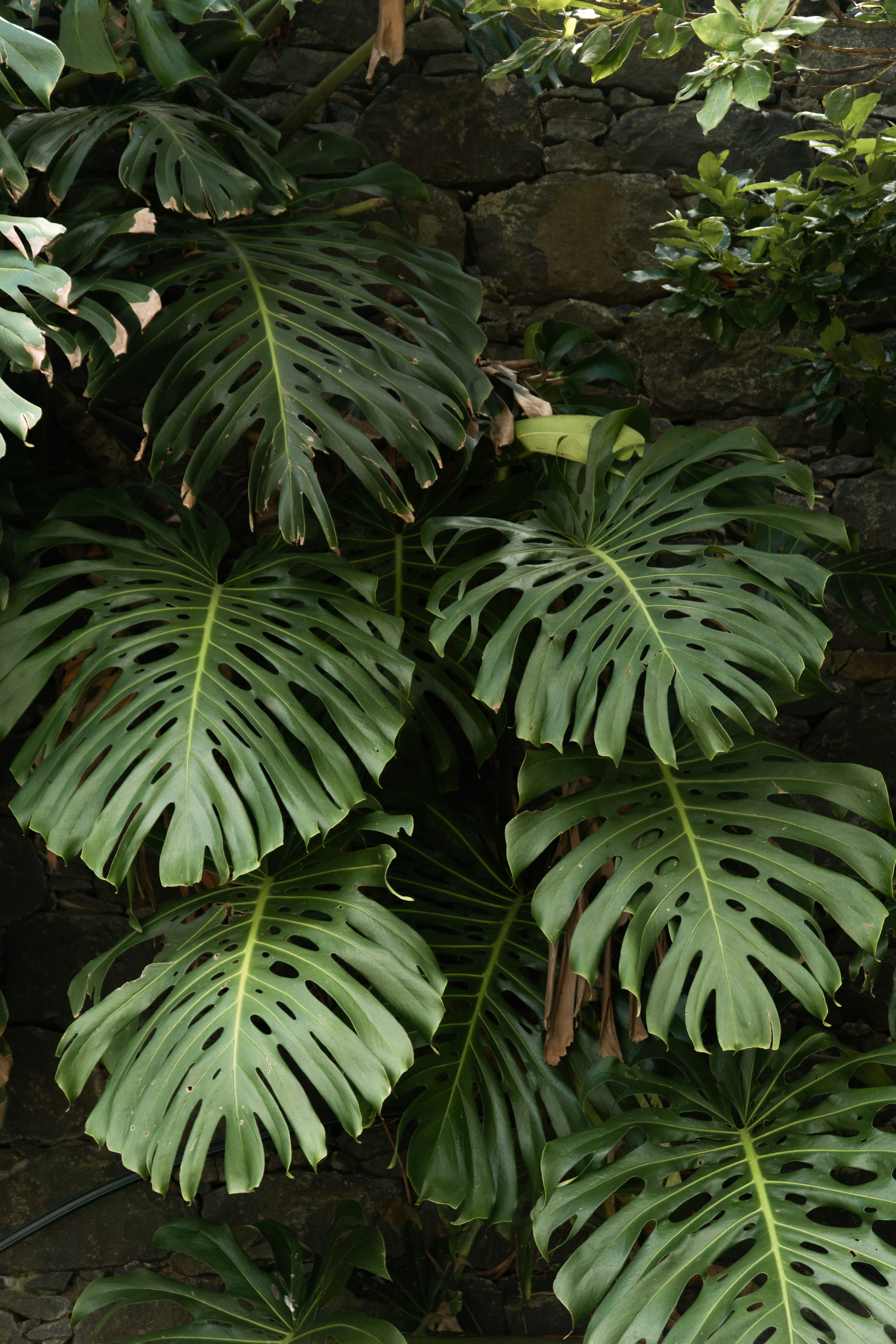 Photo by fanjatastisch