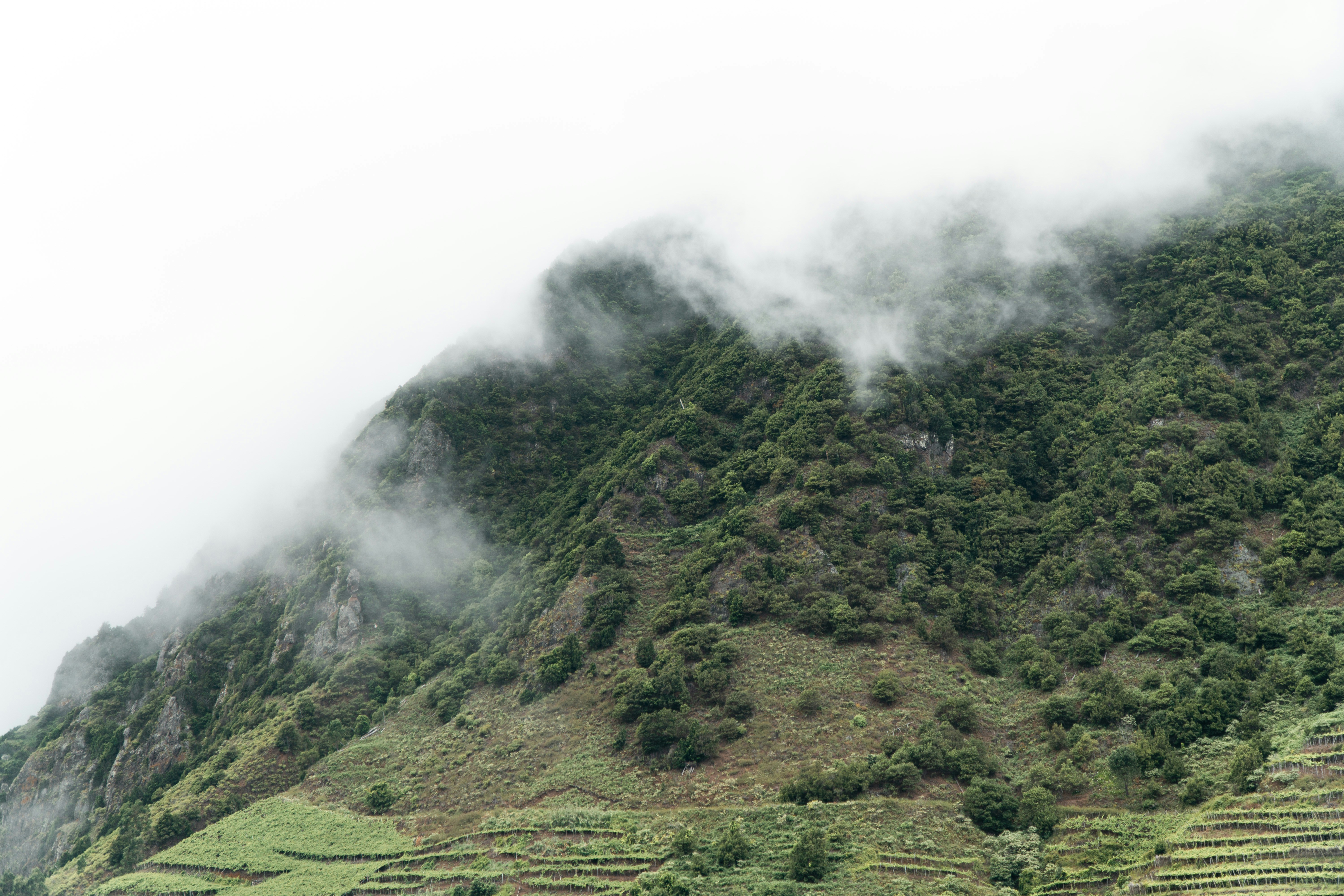 Photo by fanjatastisch