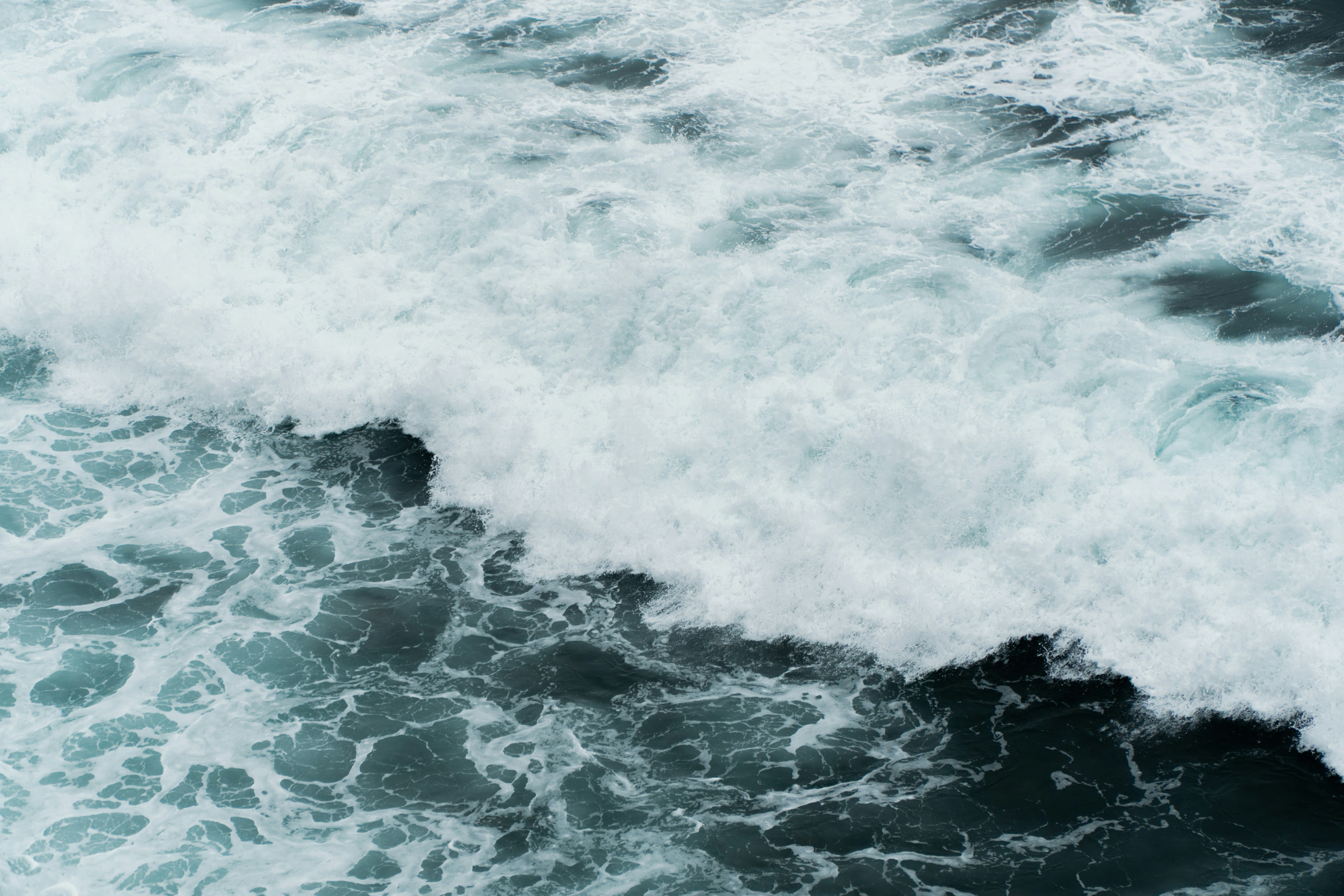 Photo by fanjatastisch