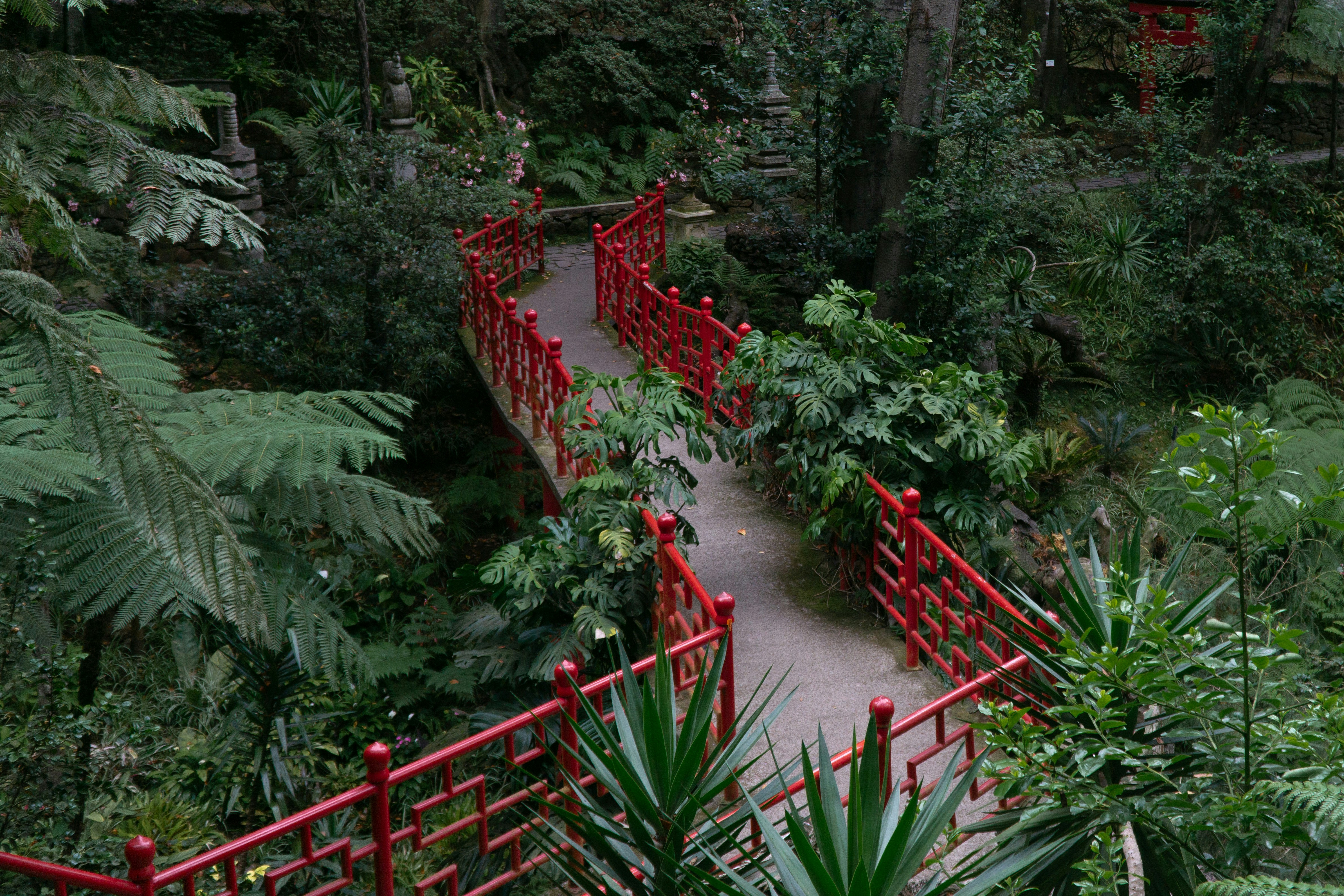 Photo by fanjatastisch