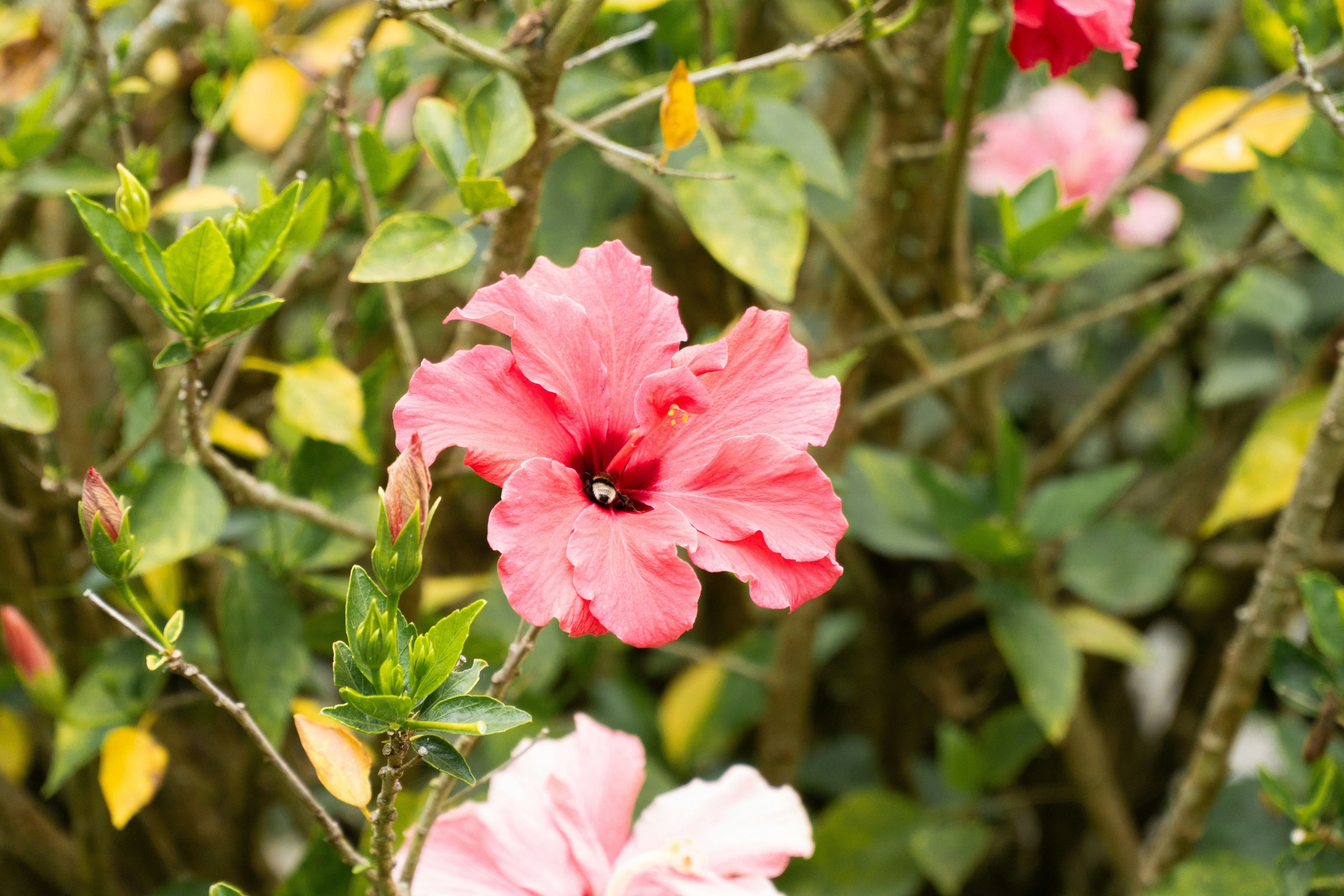 Photo by fanjatastisch