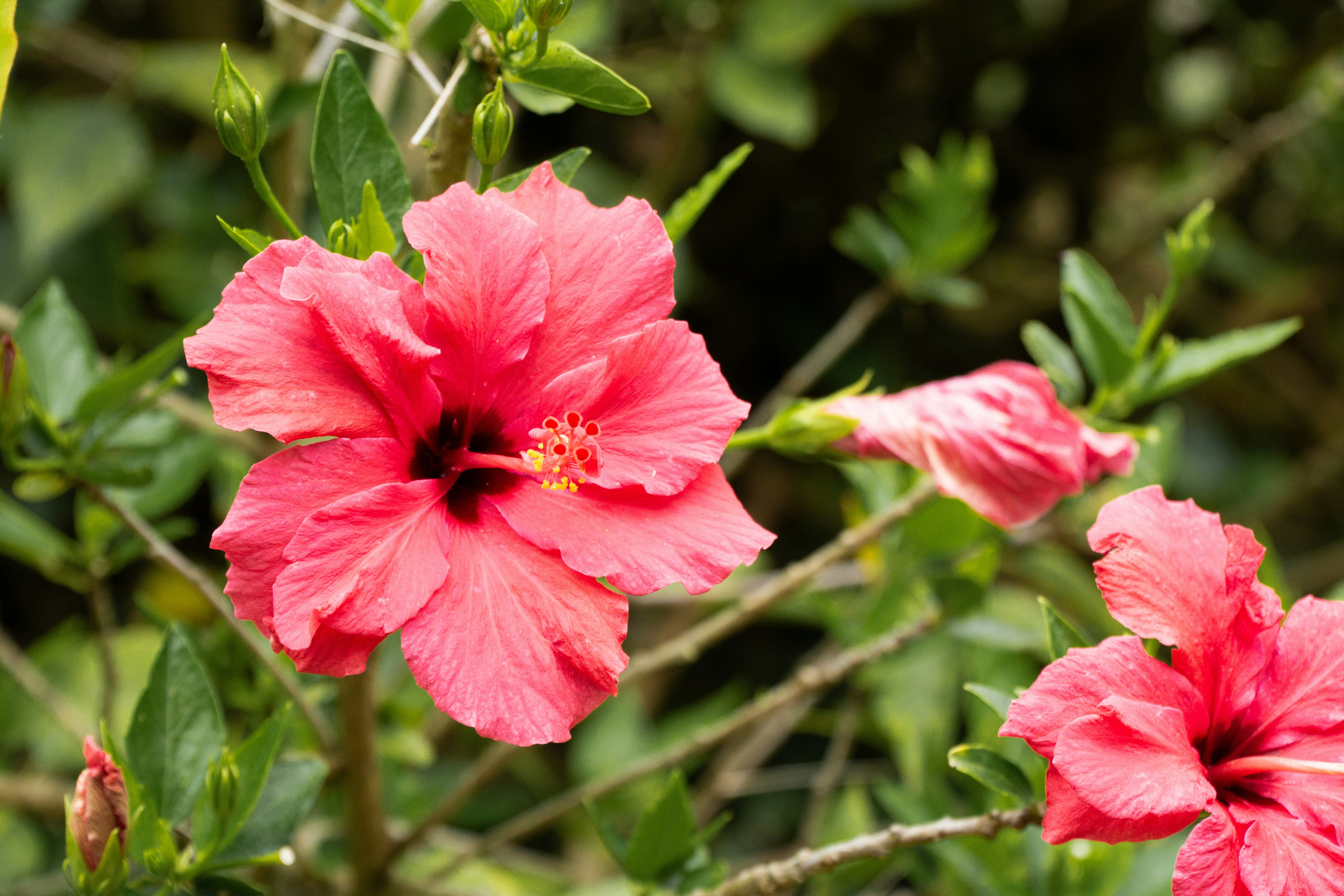 Photo by fanjatastisch