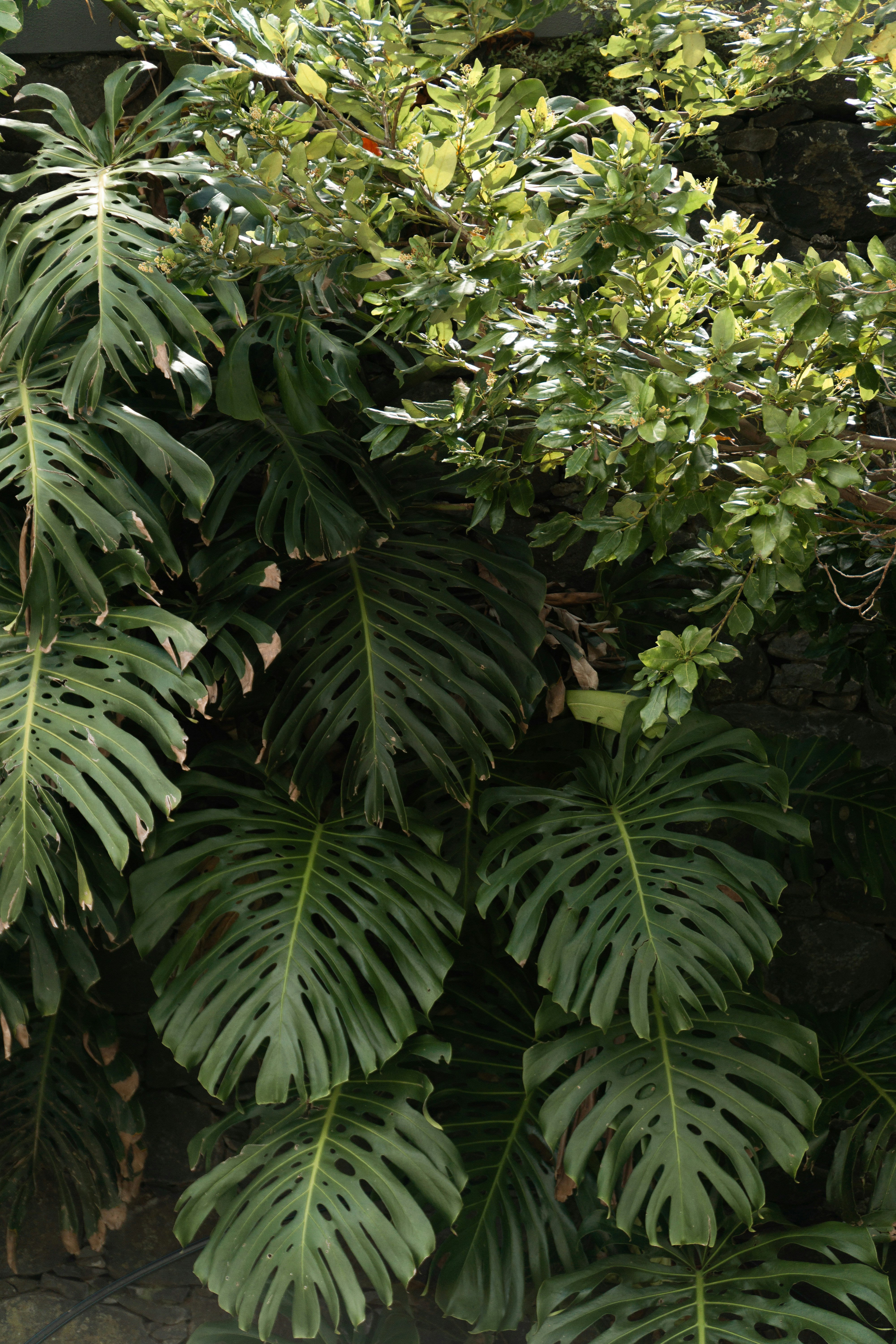 Photo by fanjatastisch