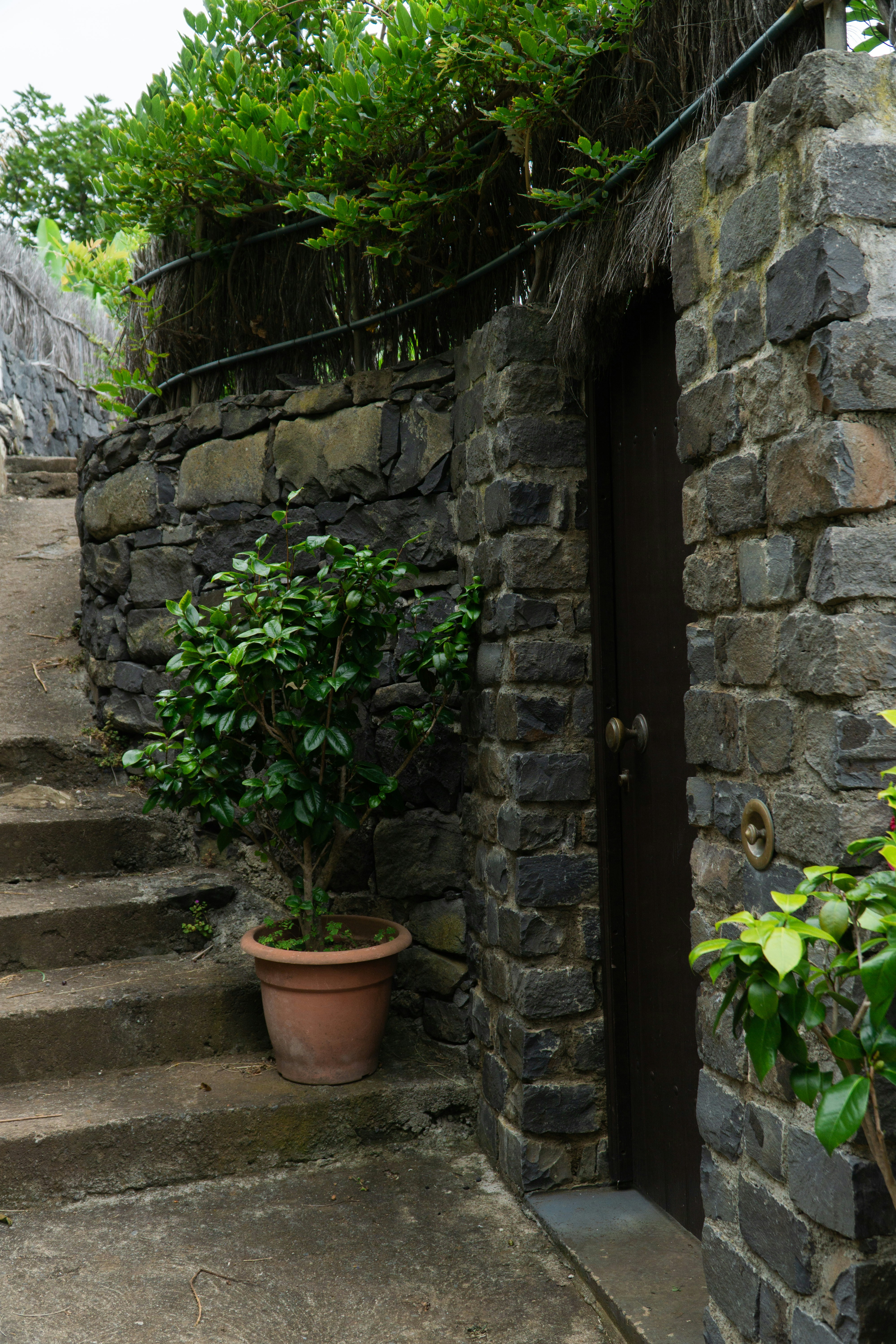 Photo by fanjatastisch