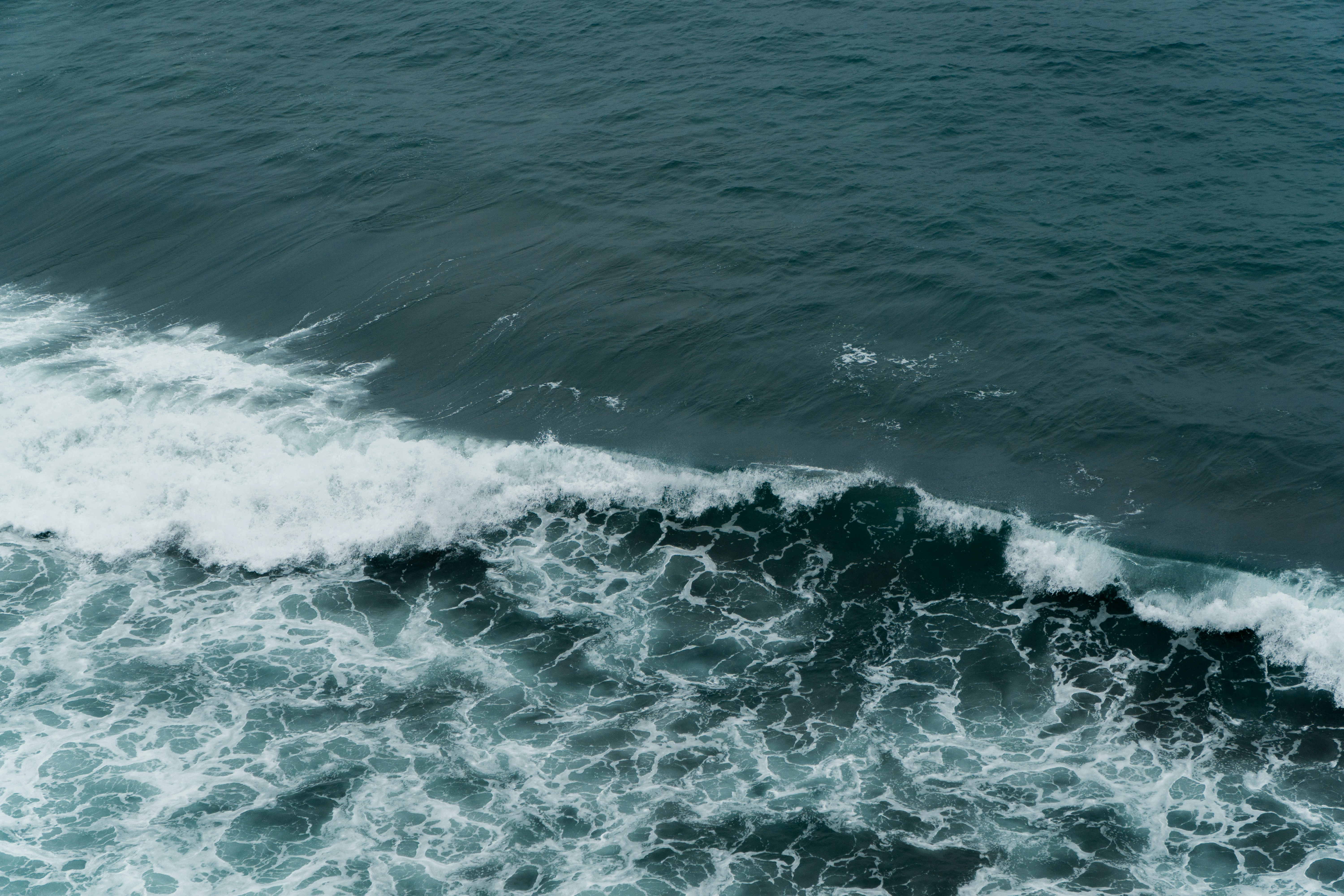 Photo by fanjatastisch